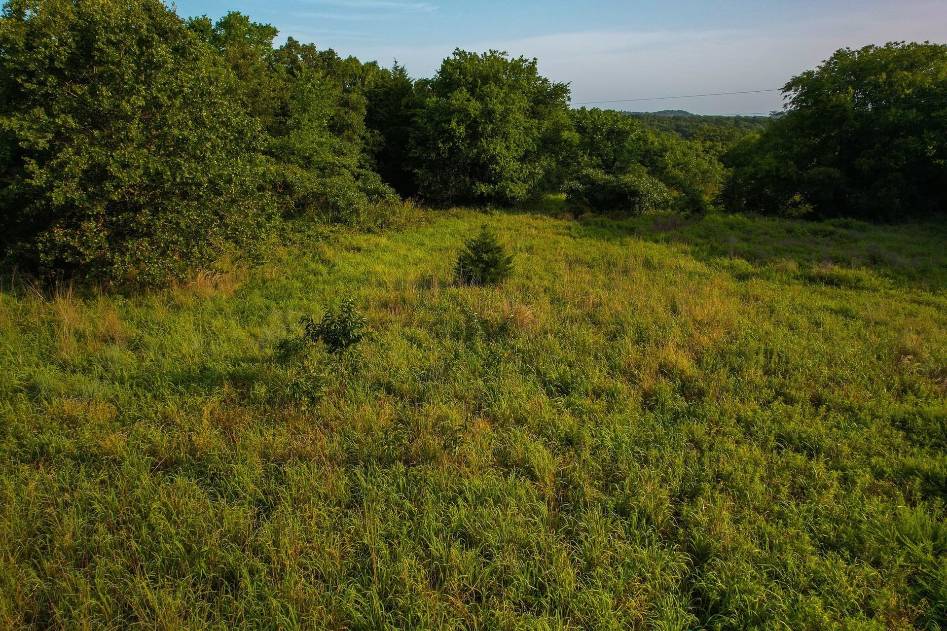 144 acres in Montague County - photo 9