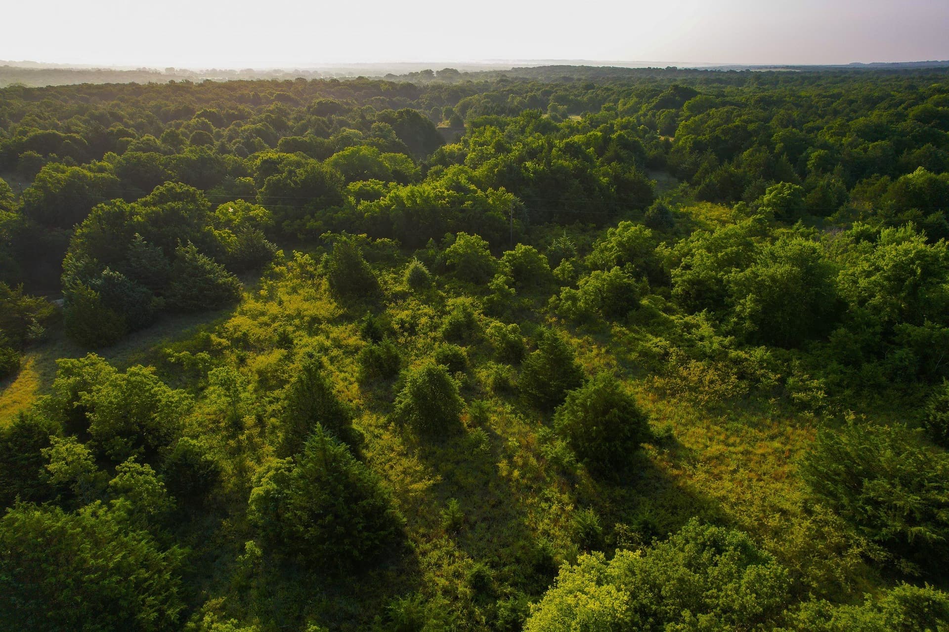 144 acres in Montague County - photo 30