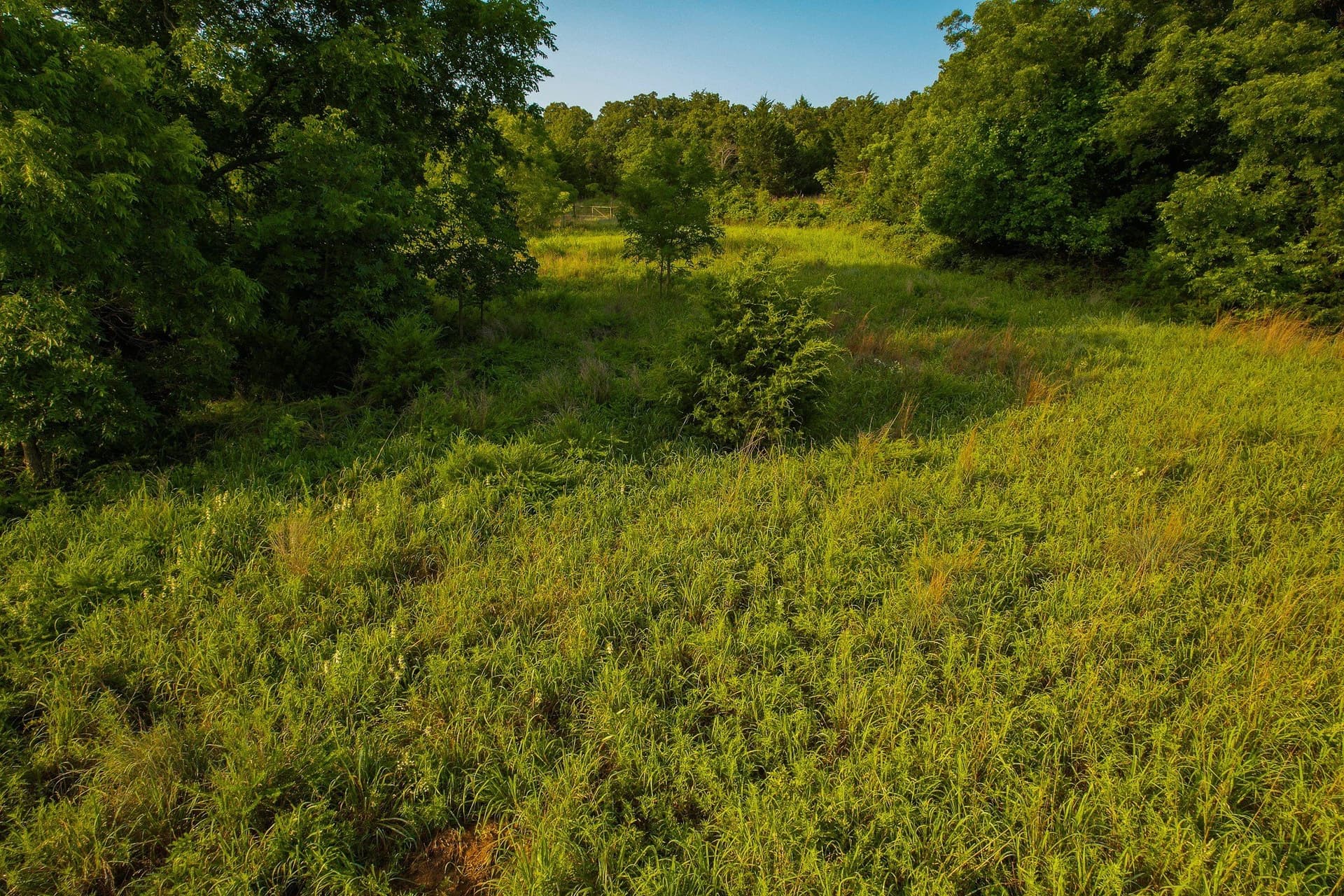 144 acres in Montague County - photo 8