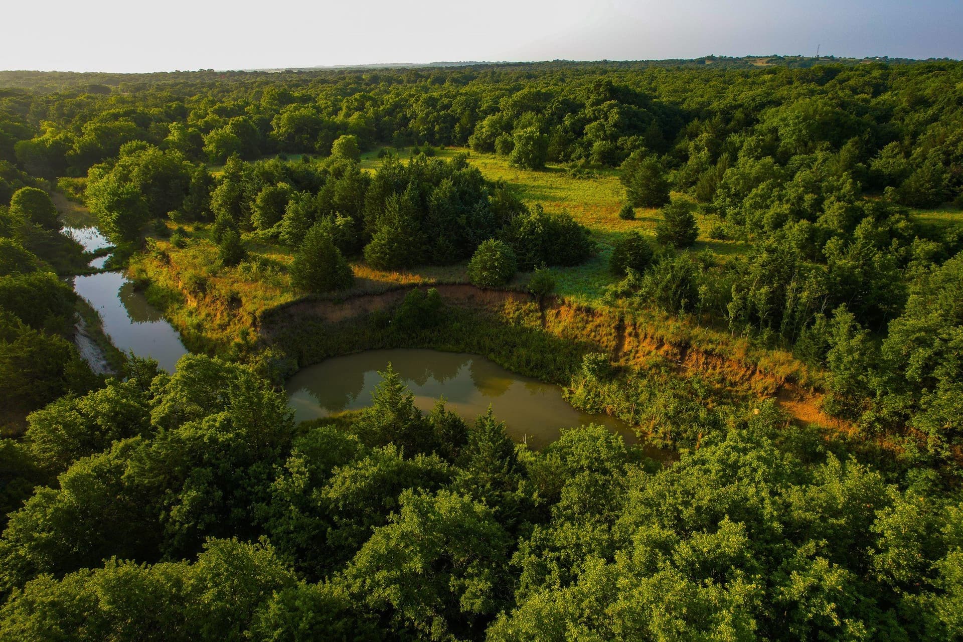 144 acres in Montague County - photo 13