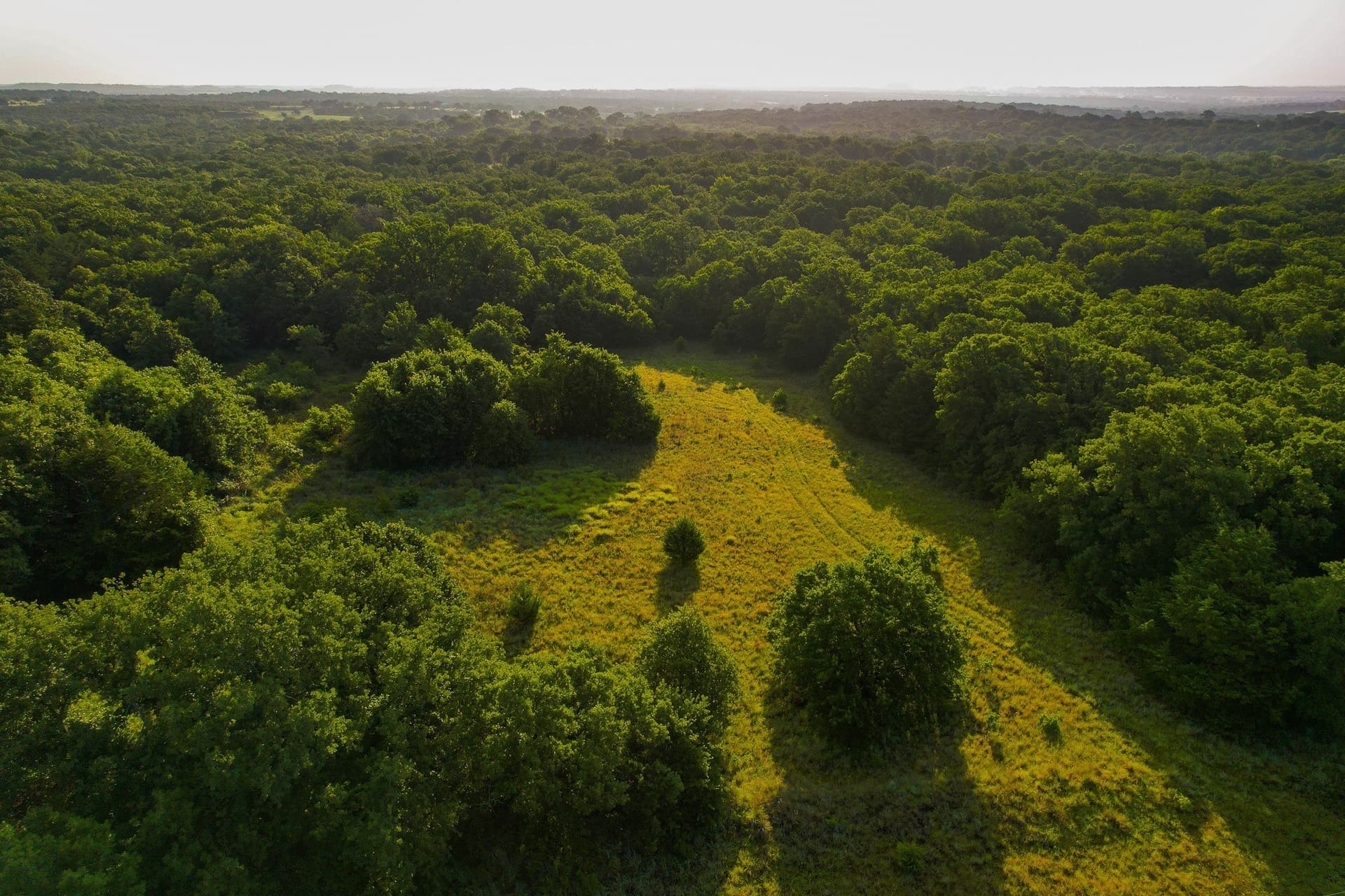 144 acres in Montague County - photo 23