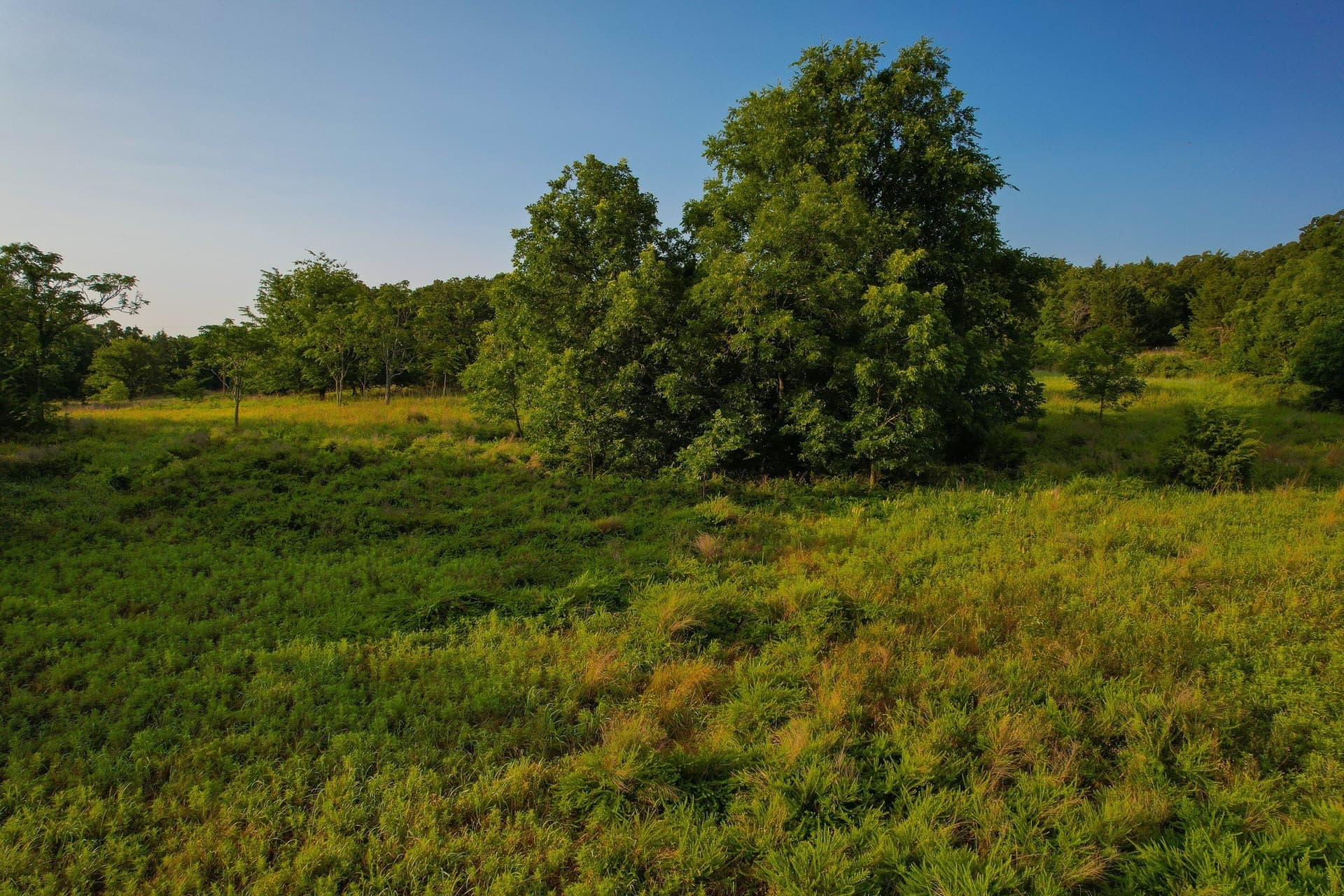 144 acres in Montague County - photo 17