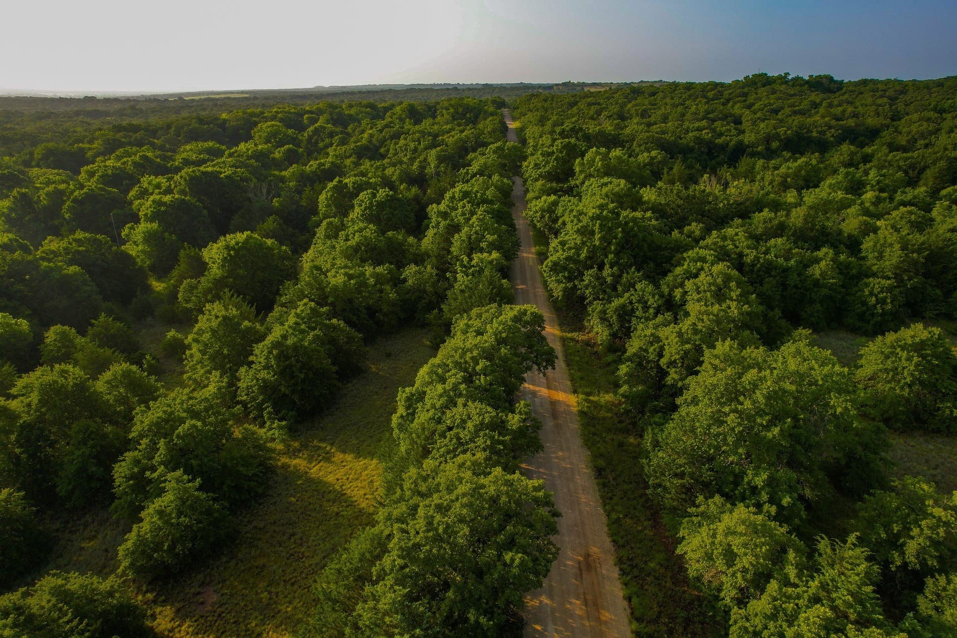 144 acres in Montague County - photo 20