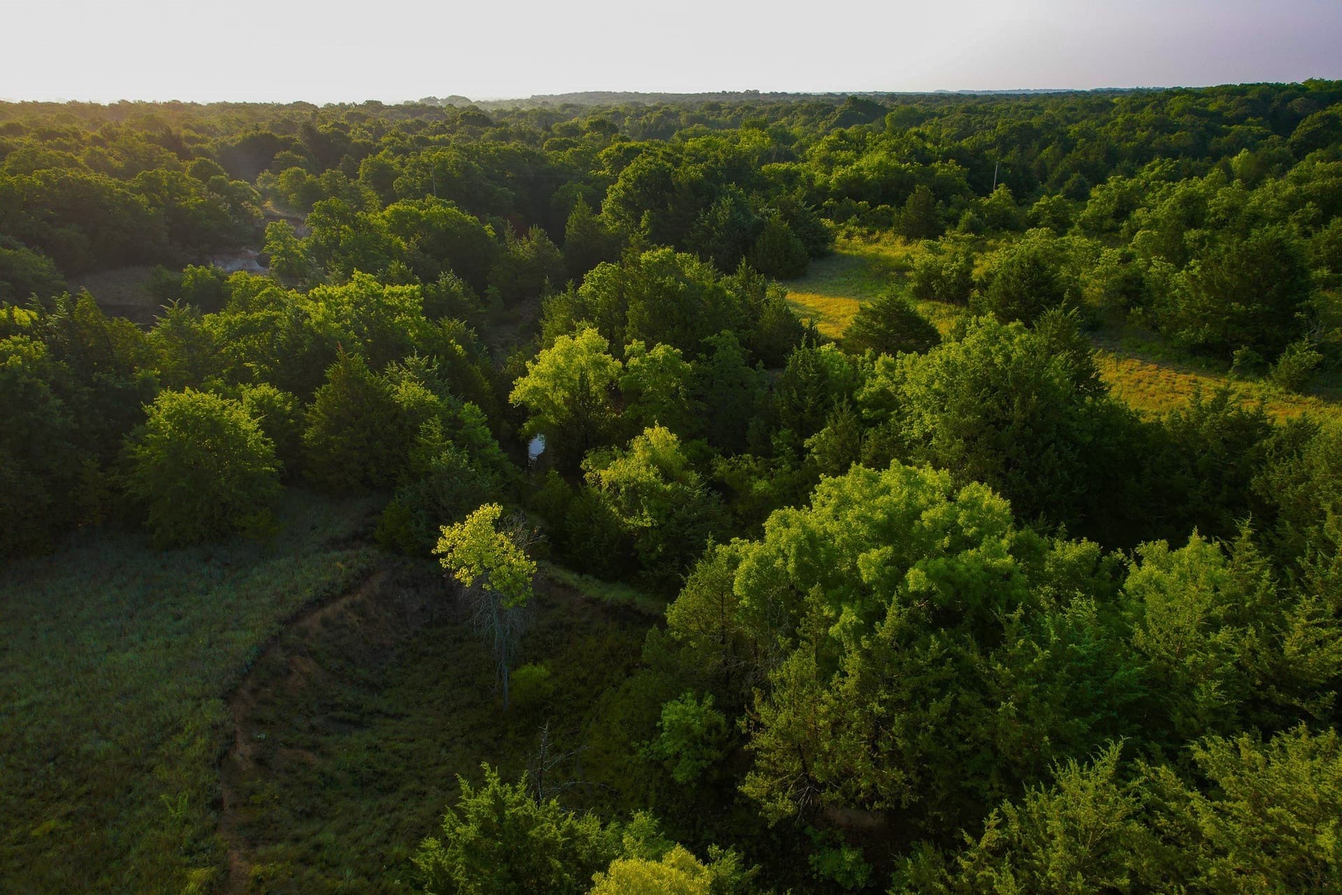 144 acres in Montague County - photo 29