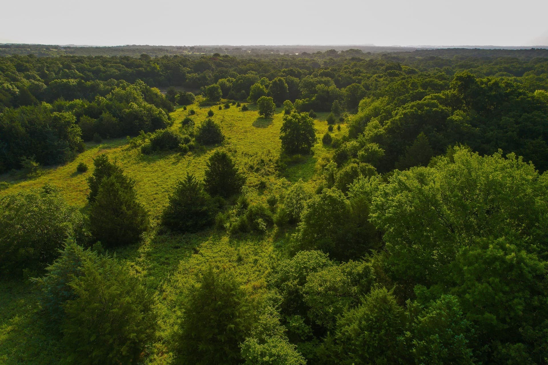 144 acres in Montague County - photo 6