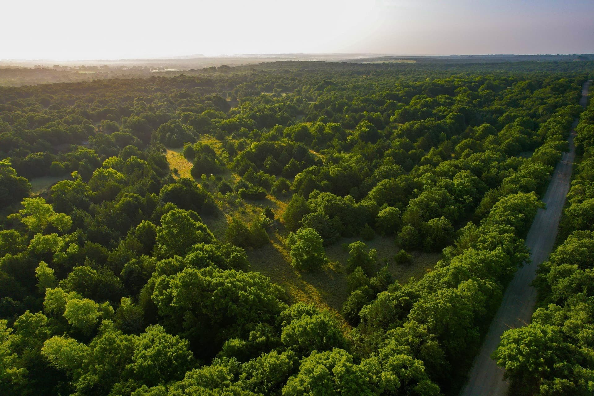 144 acres in Montague County - photo 31