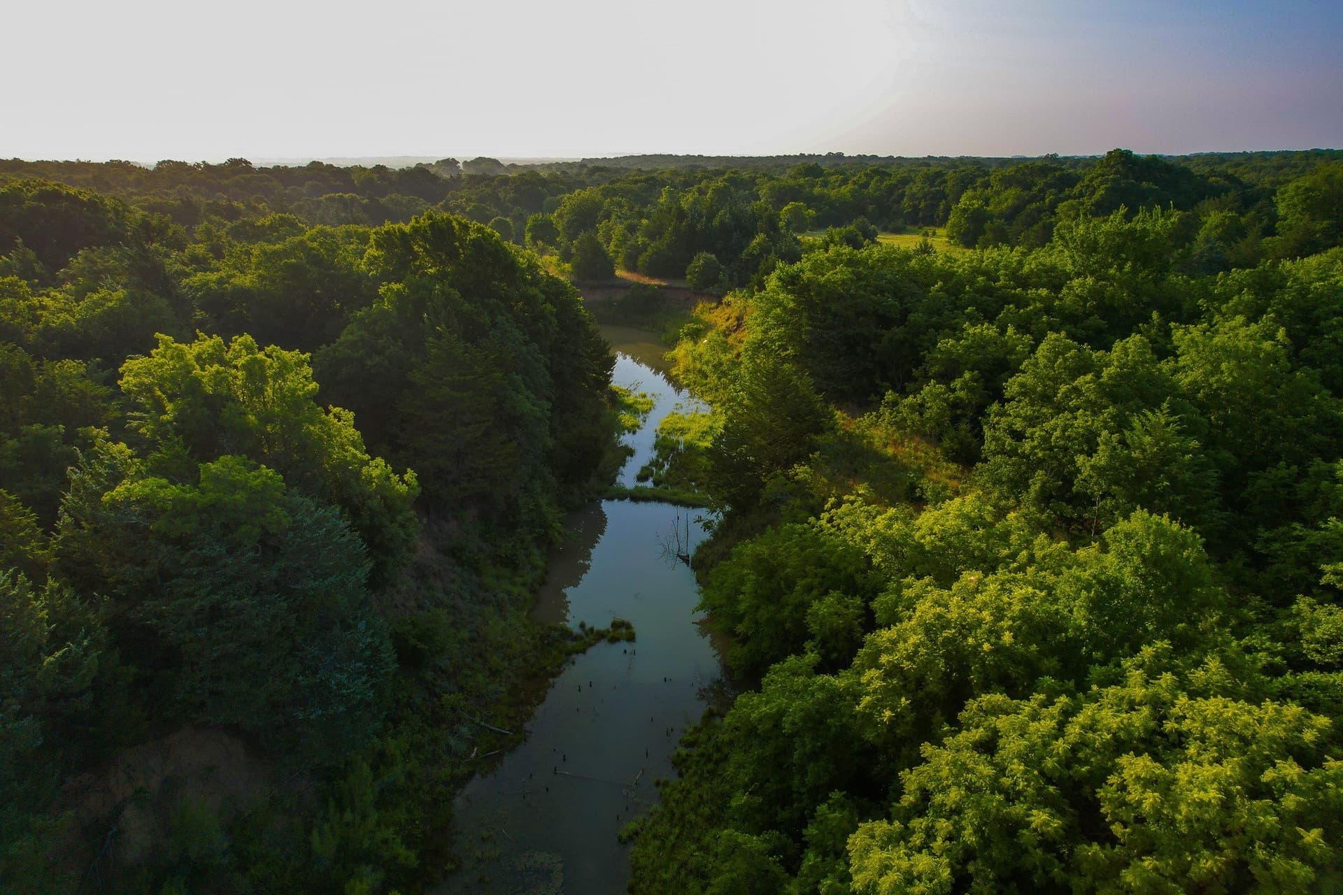 144 acres in Montague County - photo 26