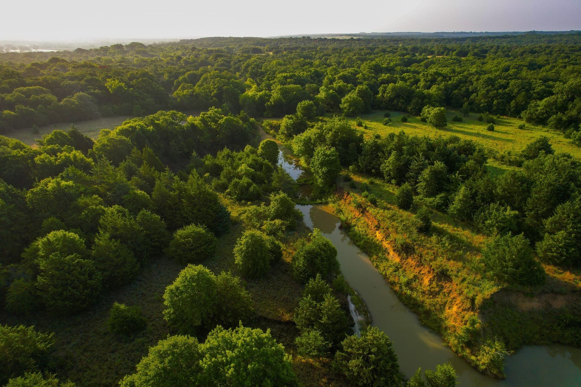 144 acres in Montague County - photo 25