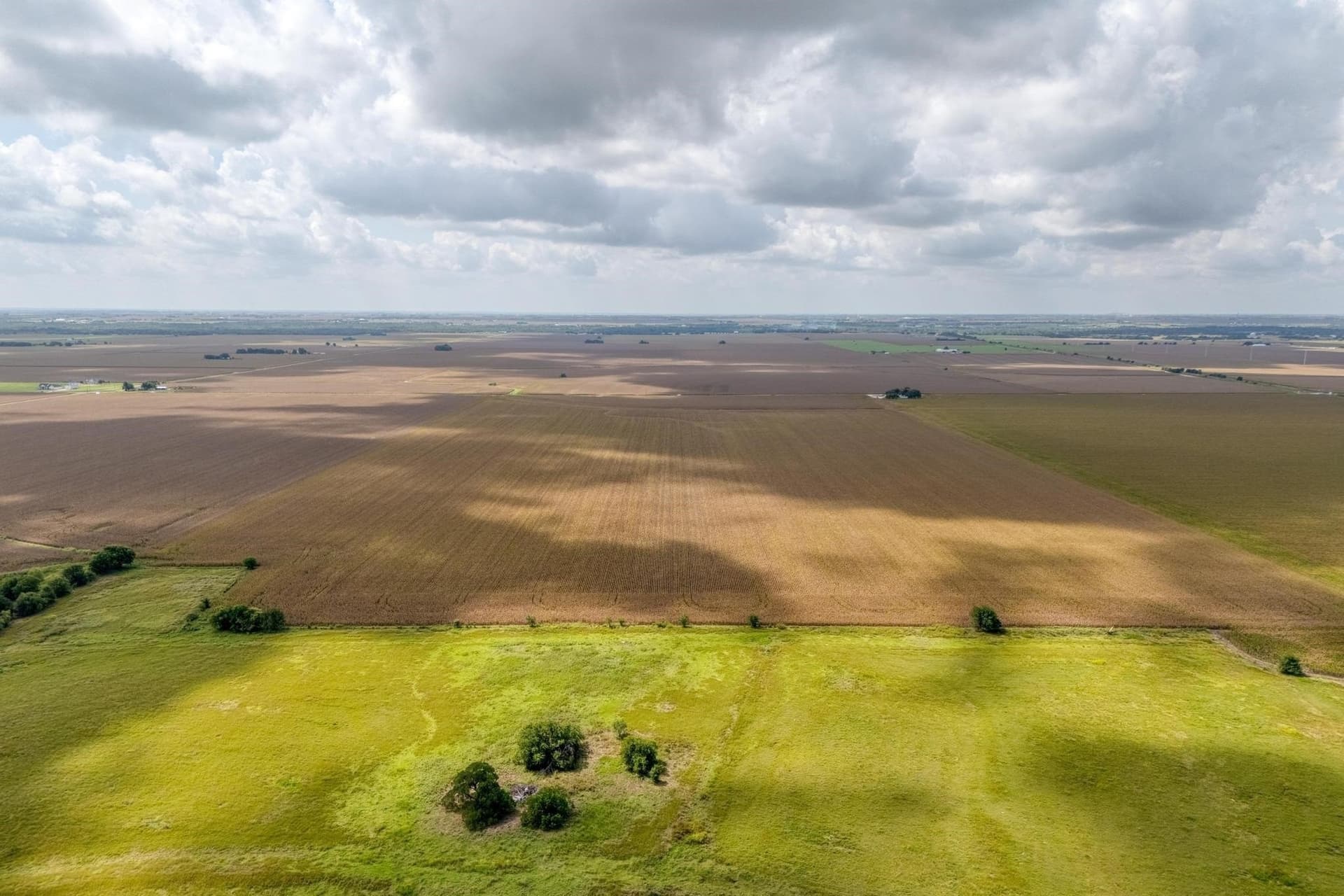 127 acres in Williamson County - photo 6