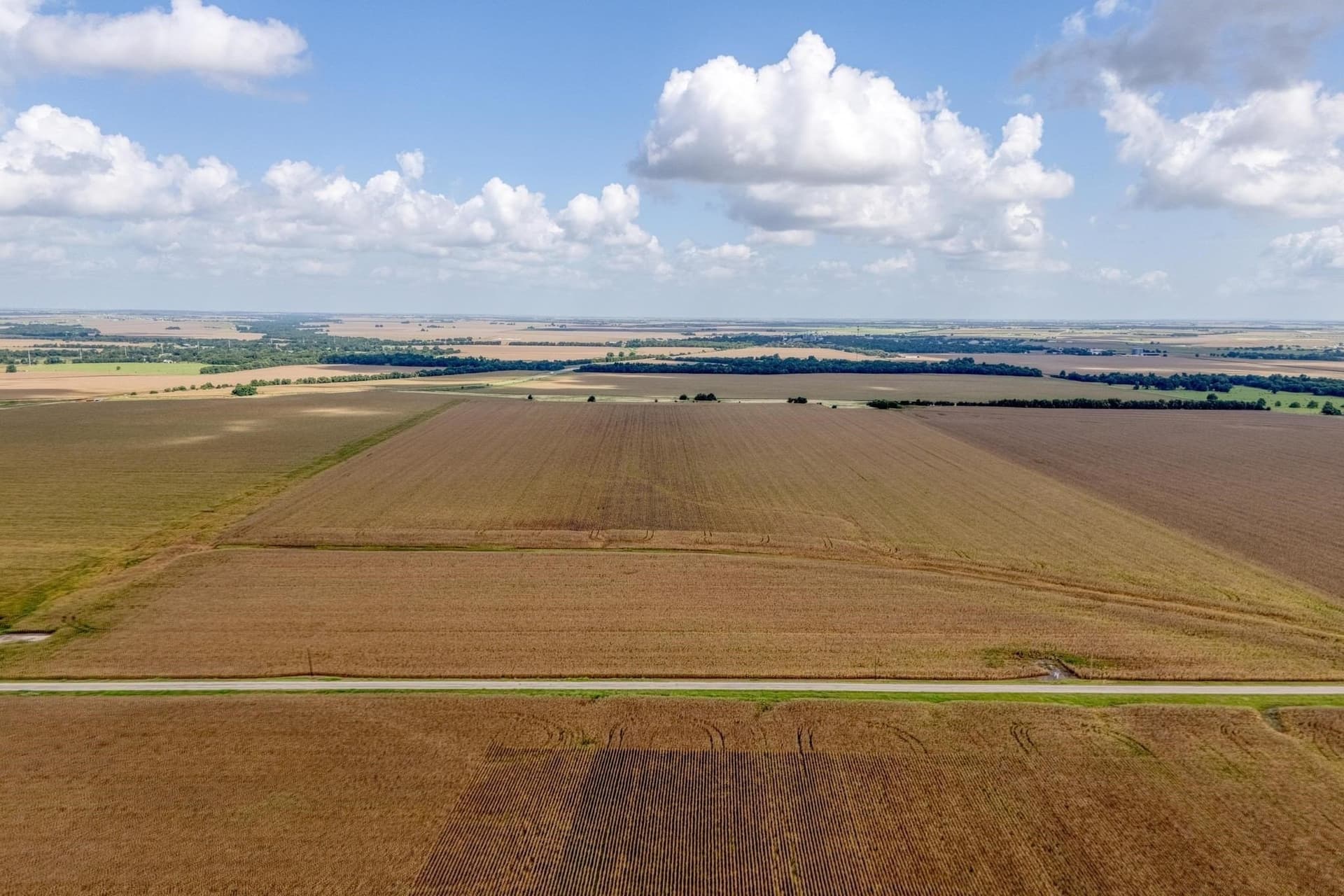 127 acres in Williamson County gallery image 4