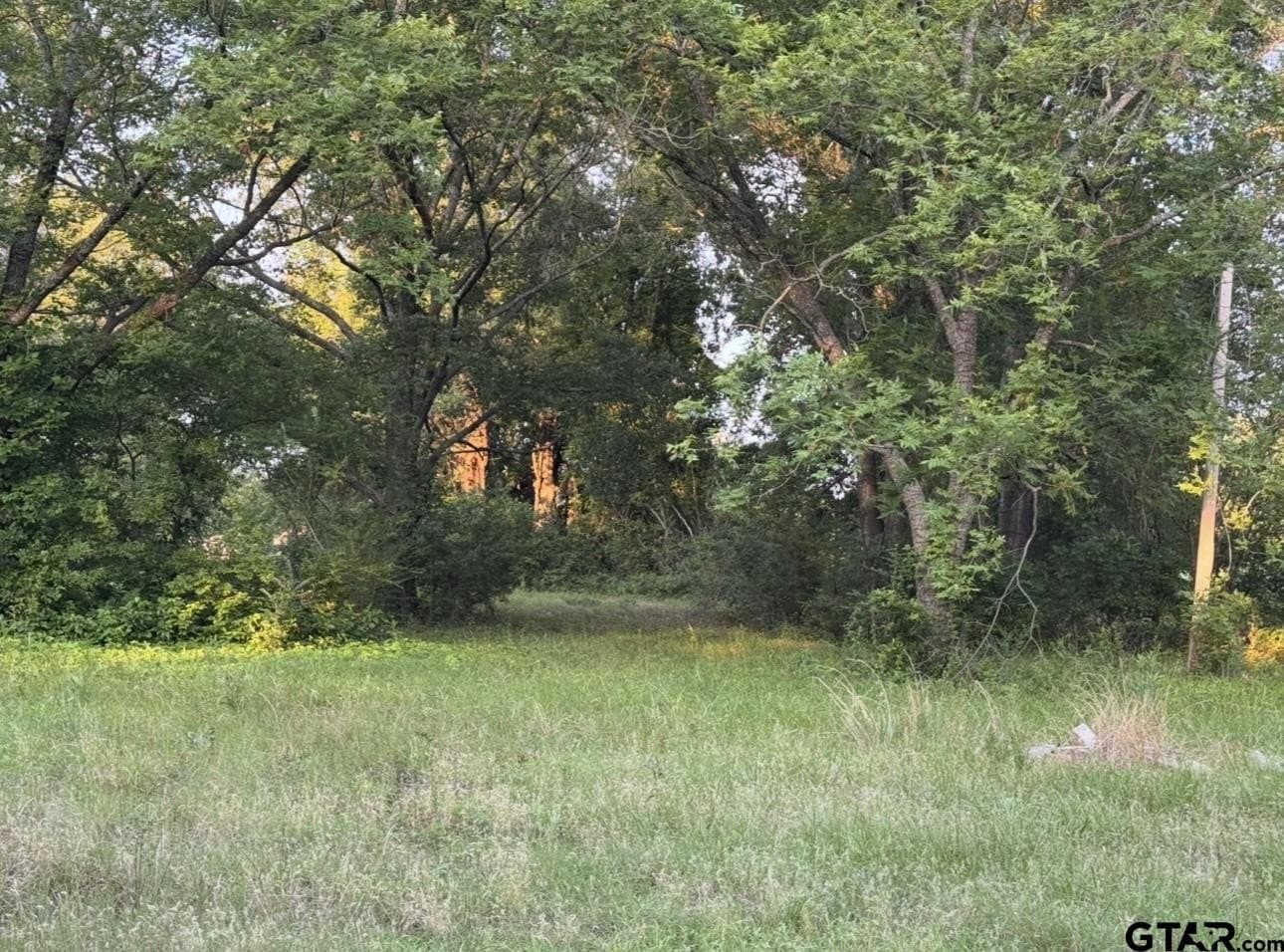 6 acres in Titus County gallery image 2