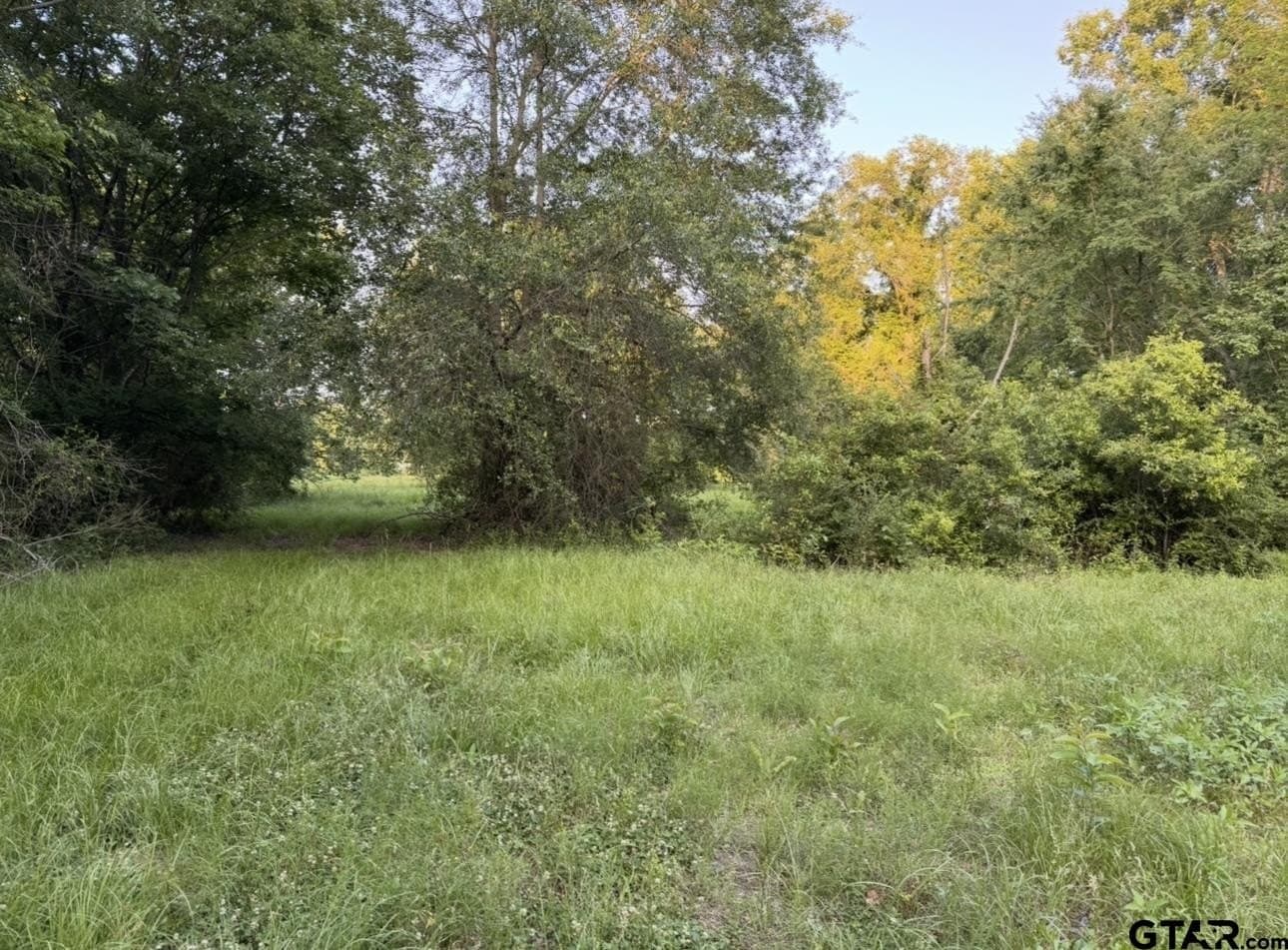 6 acres in Titus County featured view
