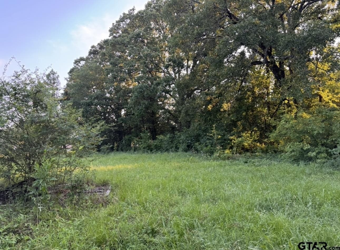 6 acres in Titus County gallery image 4