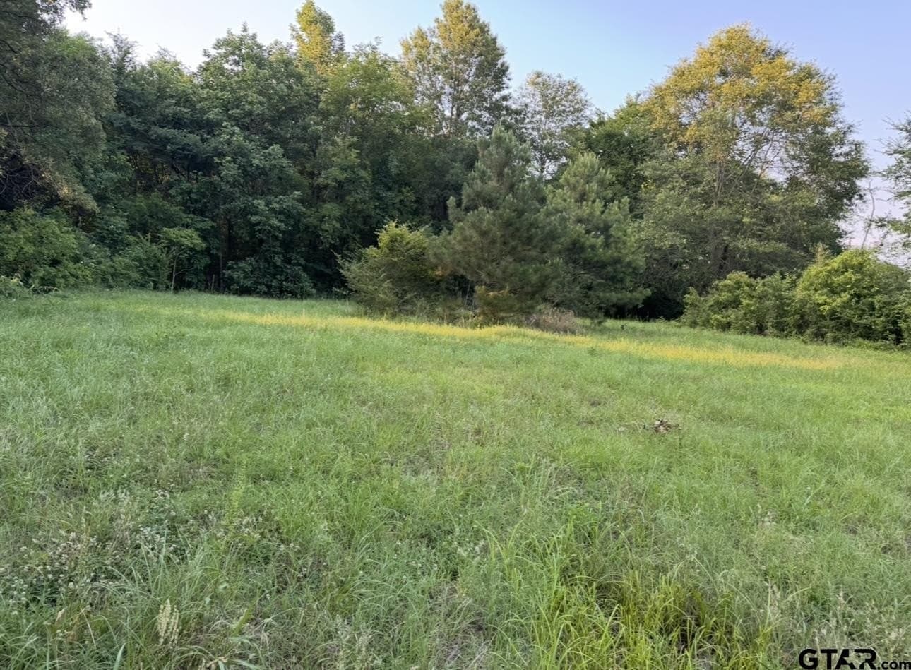 6 acres in Titus County gallery image 3