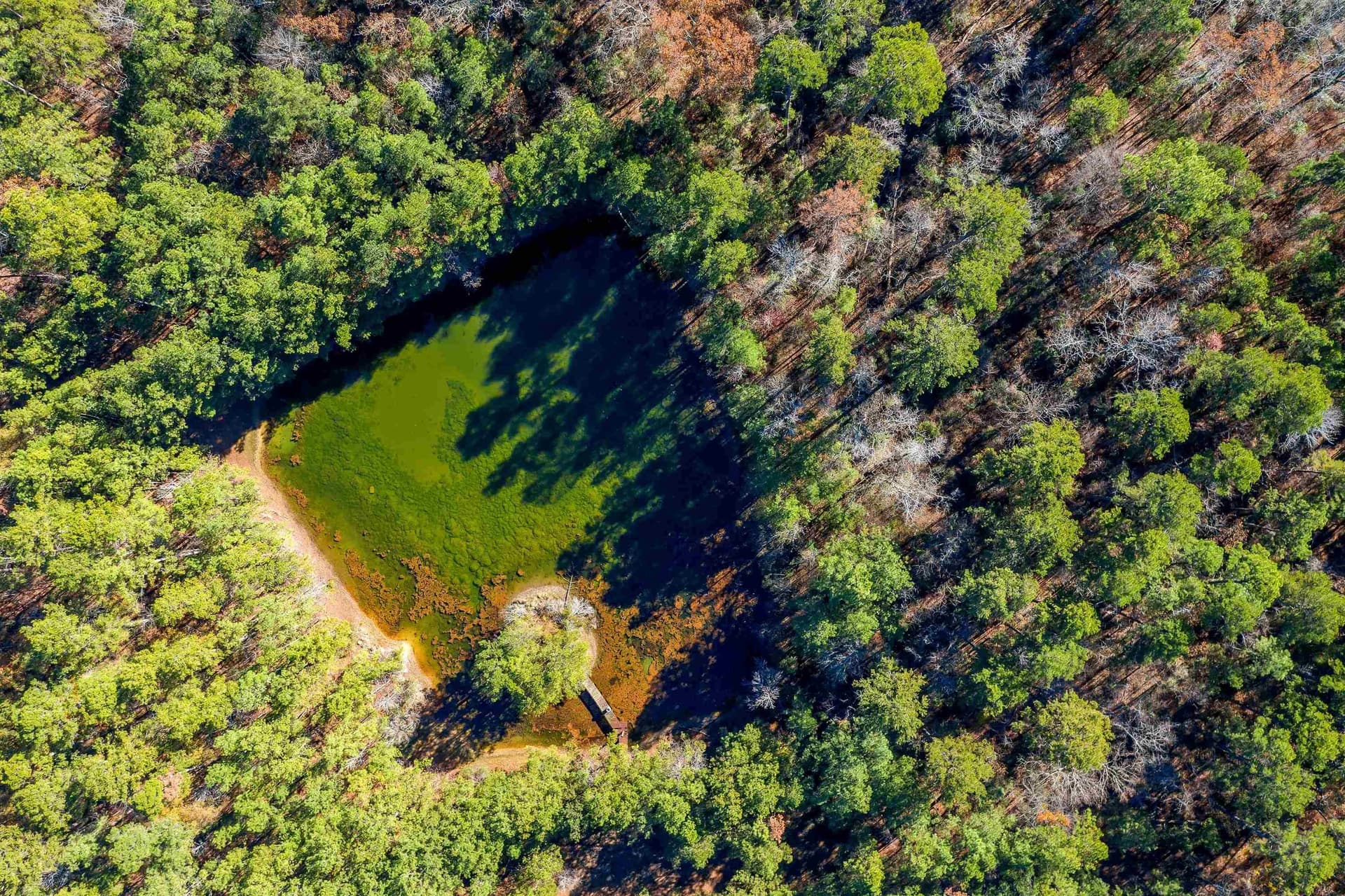 43 acres in Gregg County - photo 7