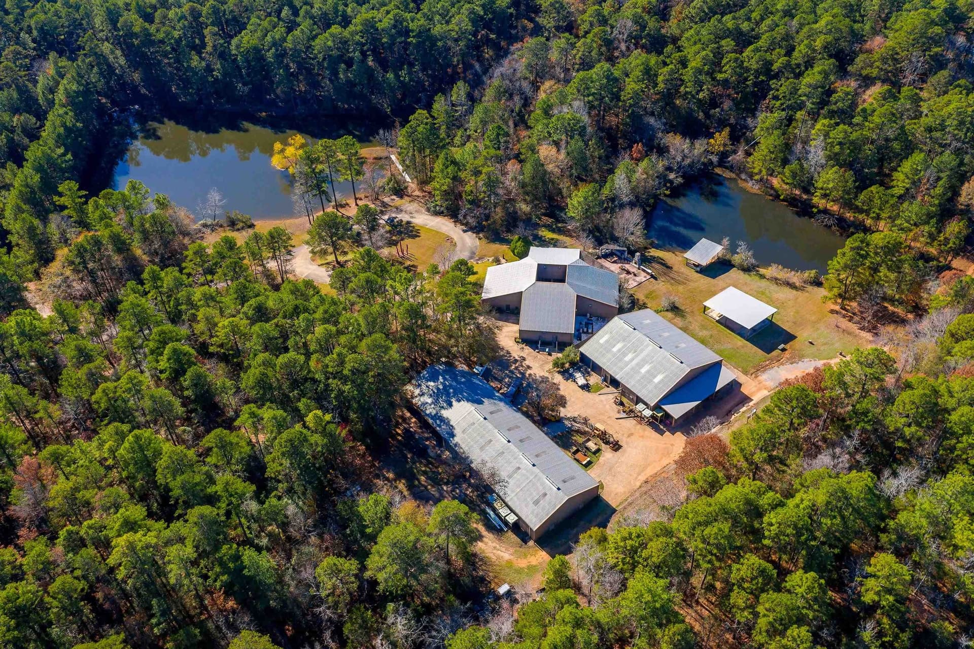43 acres in Gregg County gallery image 3