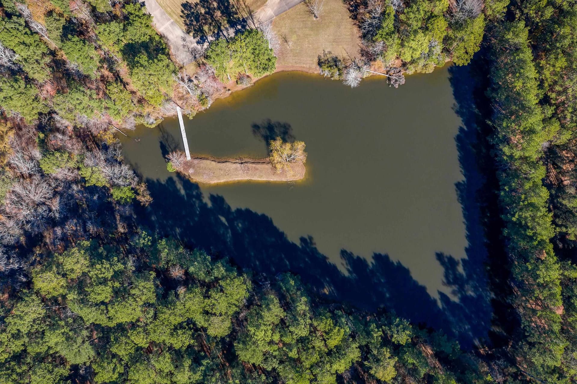 43 acres in Gregg County - photo 6