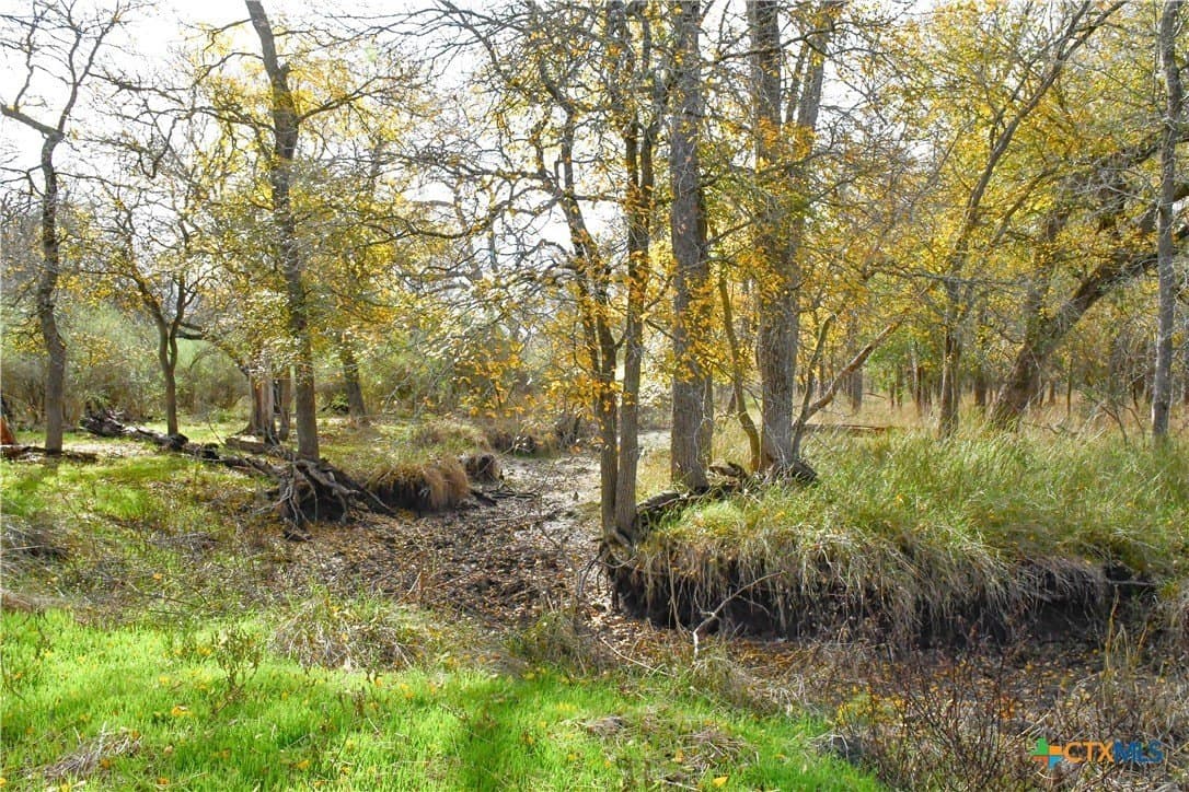 15.45 acres in Guadalupe County gallery image 4