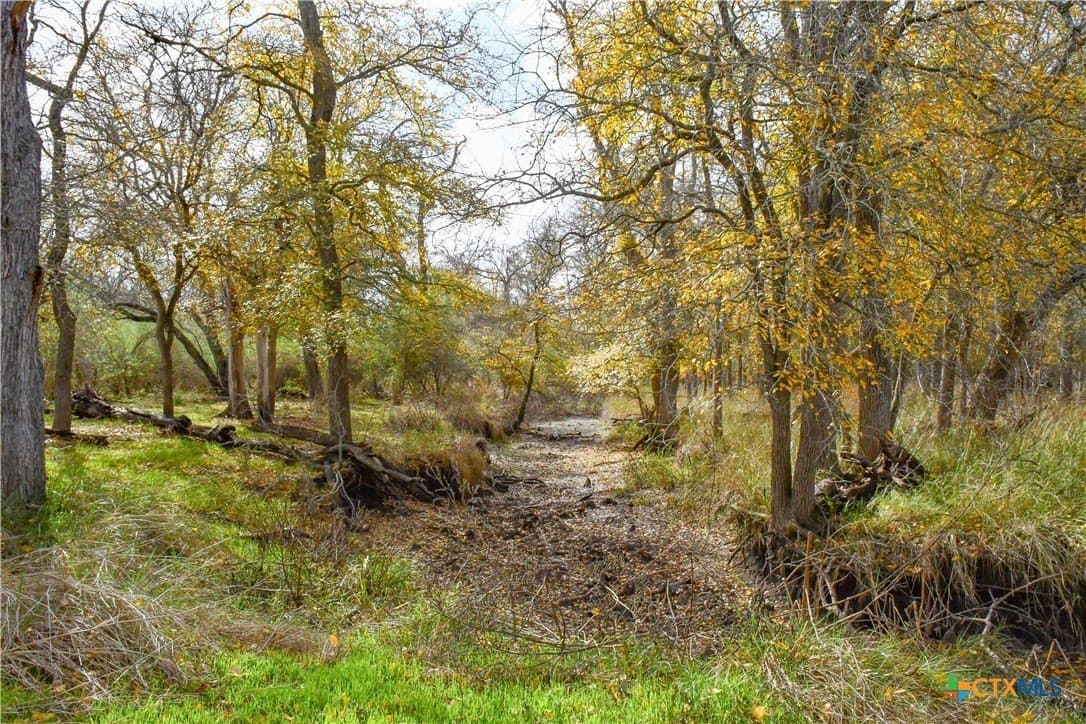 15.45 acres in Guadalupe County featured view