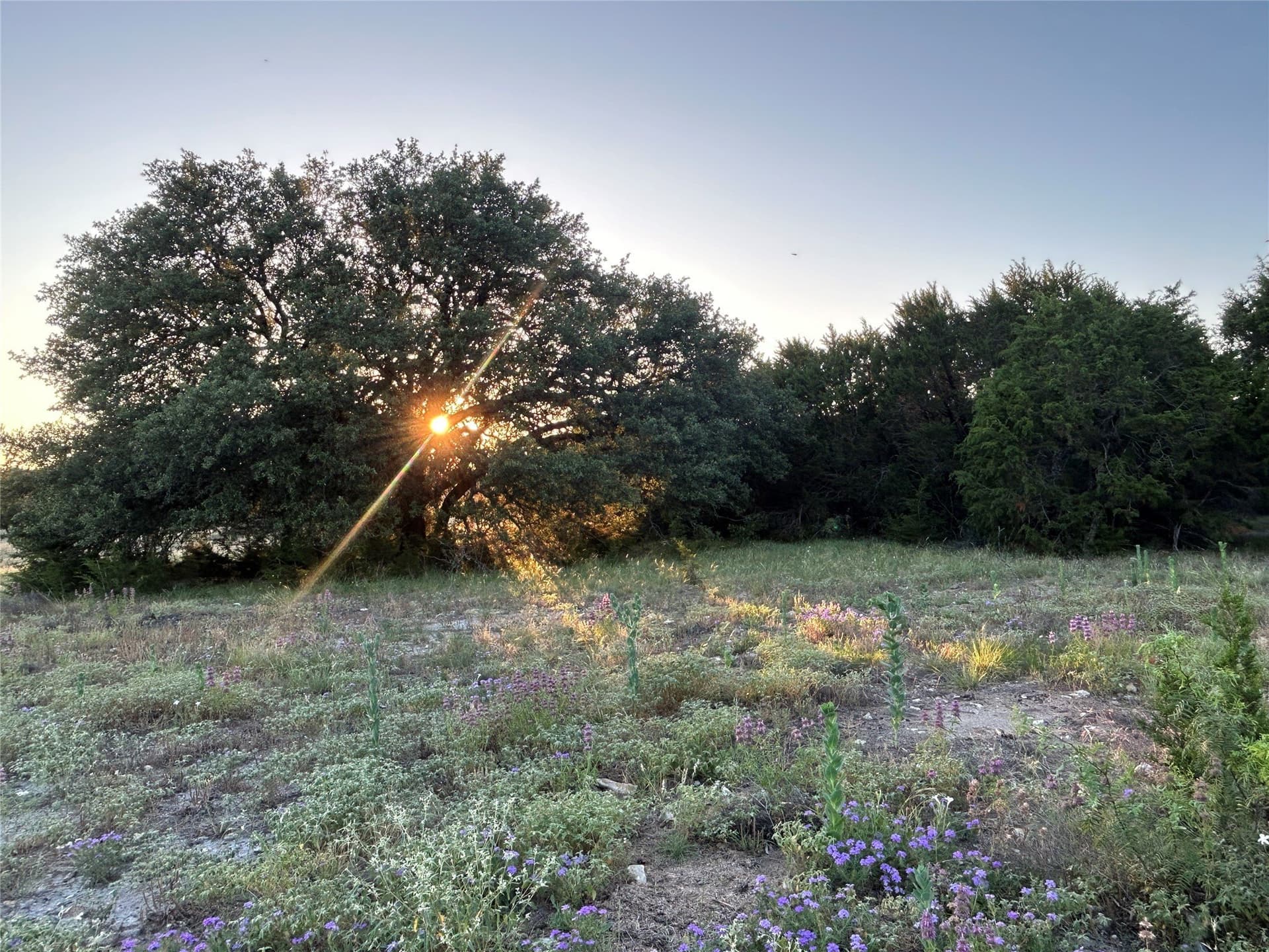 21.02 acres in Mills County - photo 3