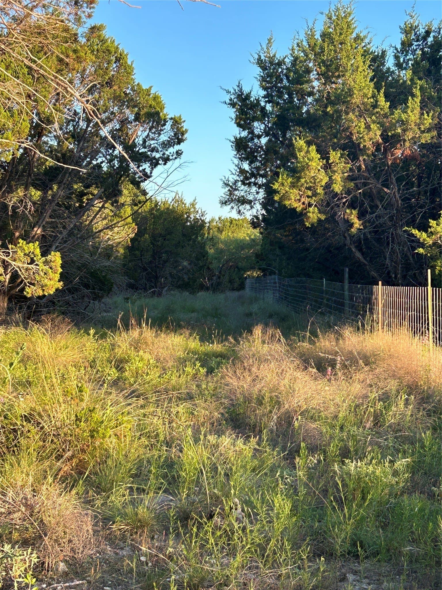 21.02 acres in Mills County - photo 4