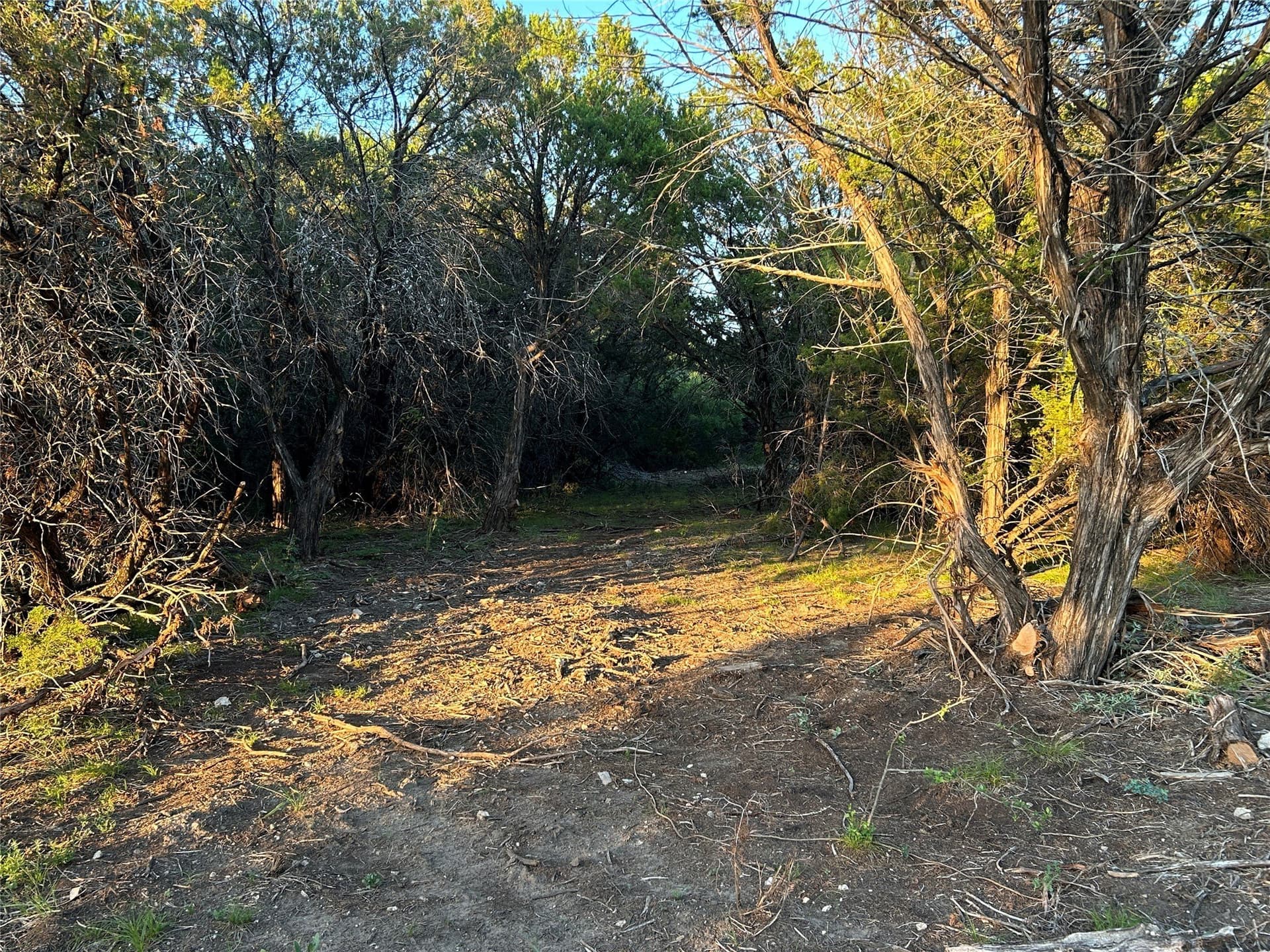 21.02 acres in Mills County - photo 22