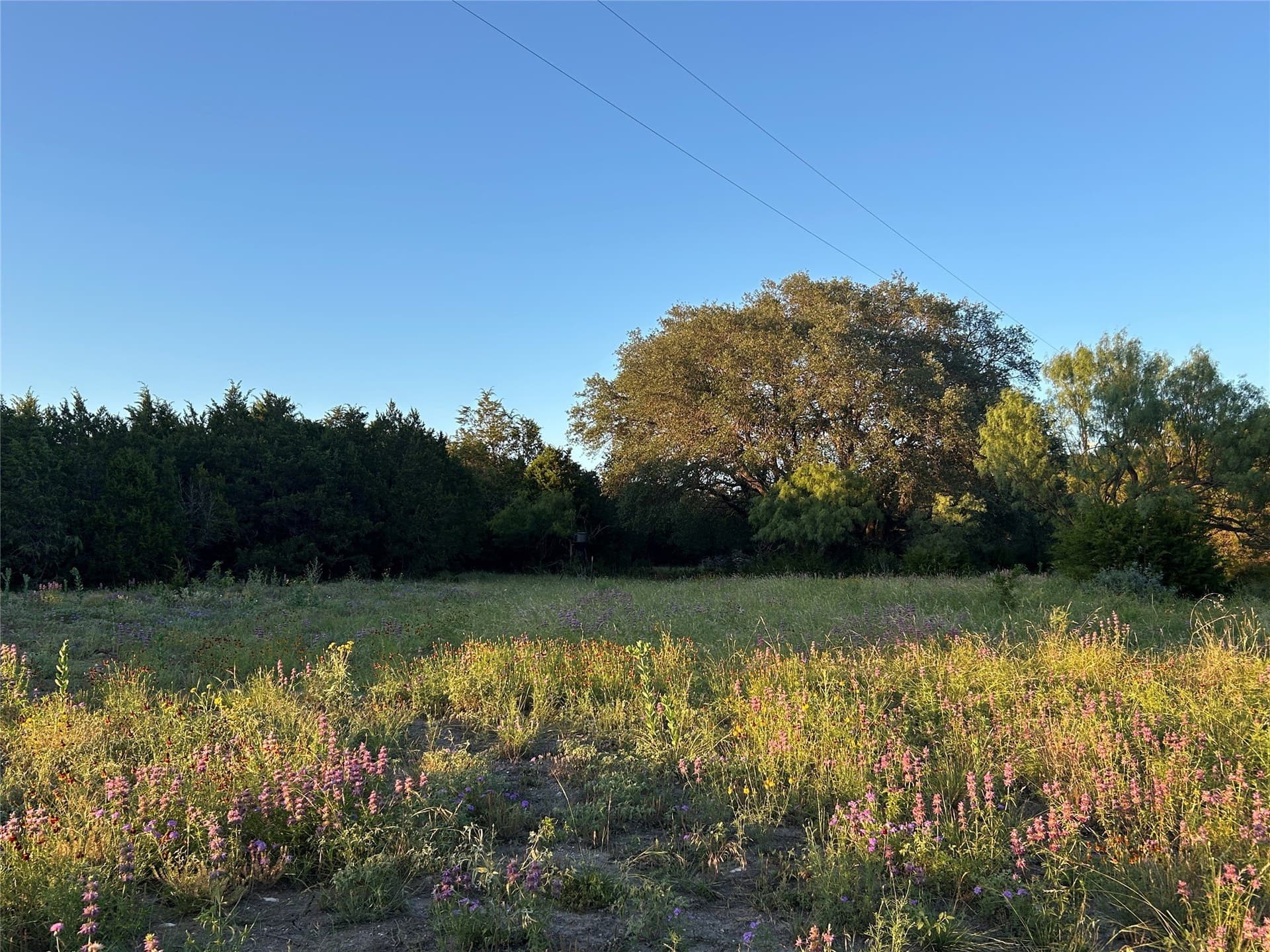 21.02 acres in Mills County - photo 5