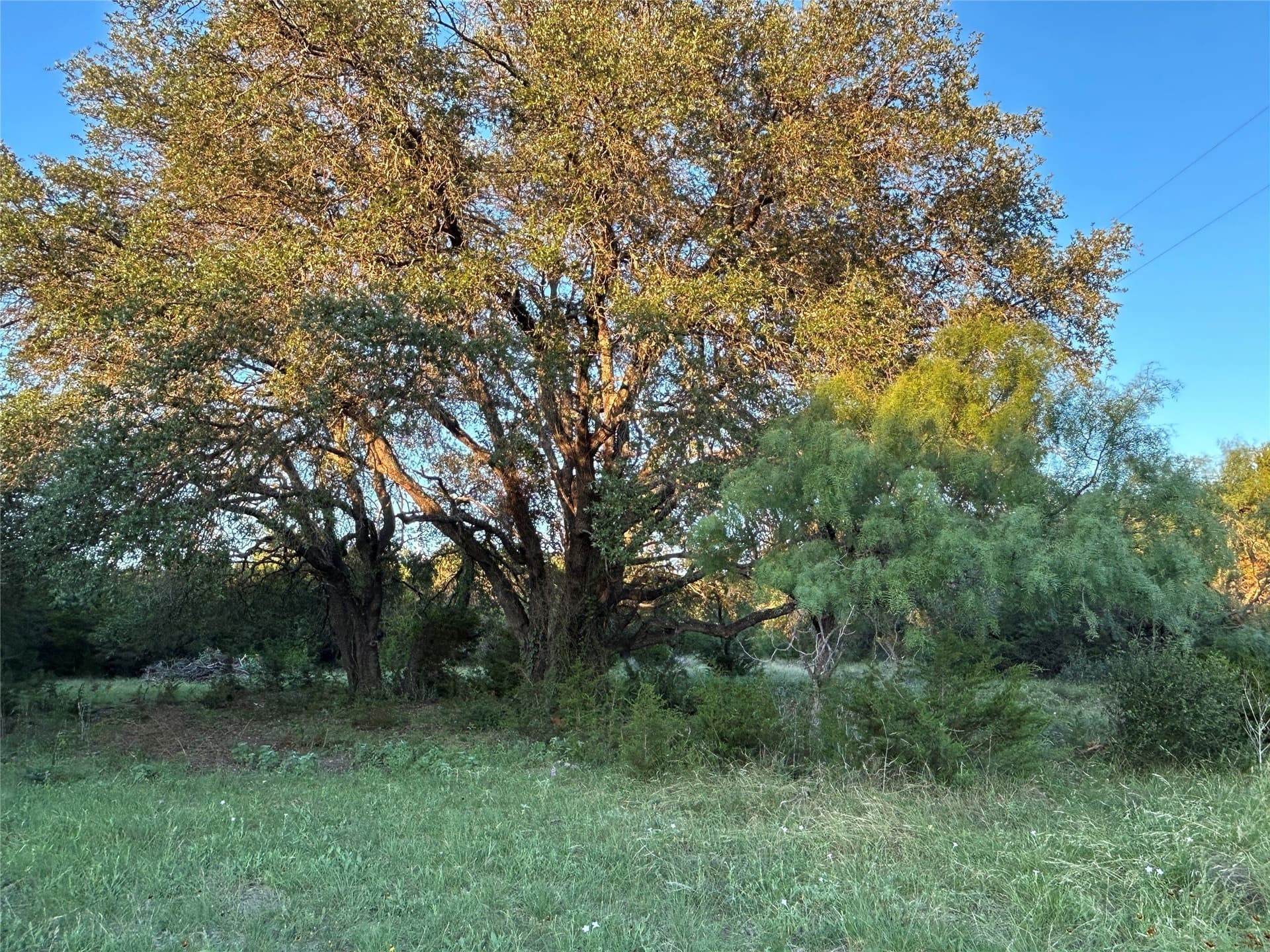 21.02 acres in Mills County - photo 20