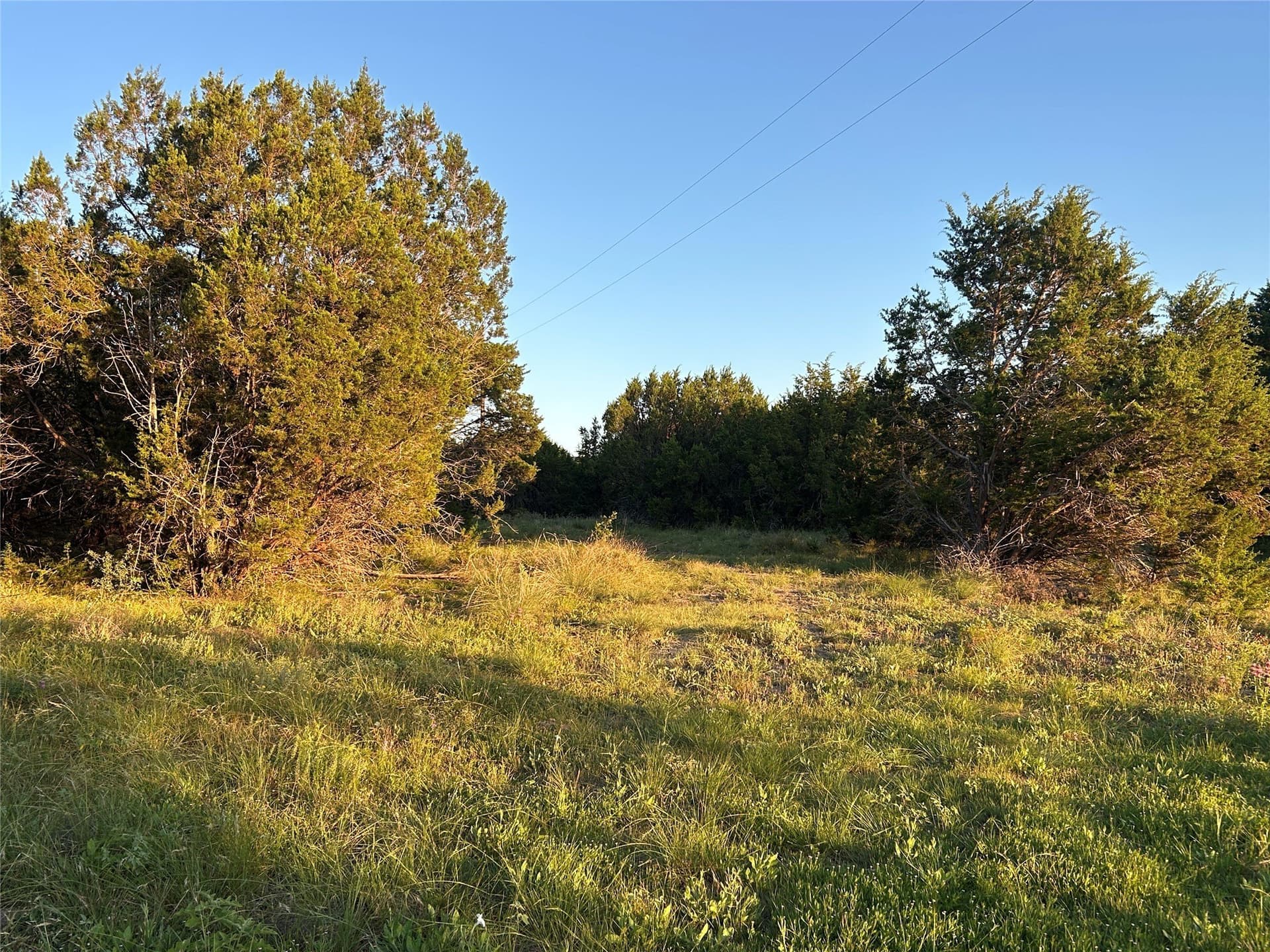 21.02 acres in Mills County - photo 21