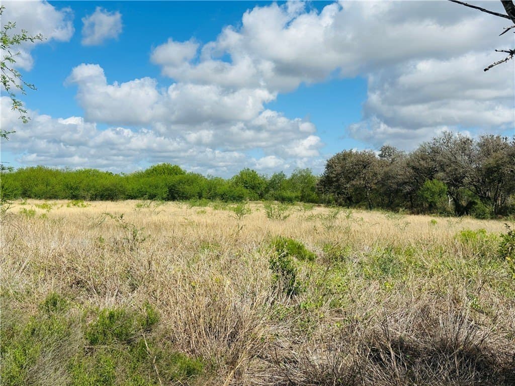 10.08 acres in San Patricio County
