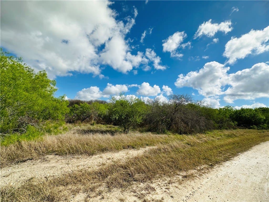 10.08 acres in San Patricio County gallery image 4