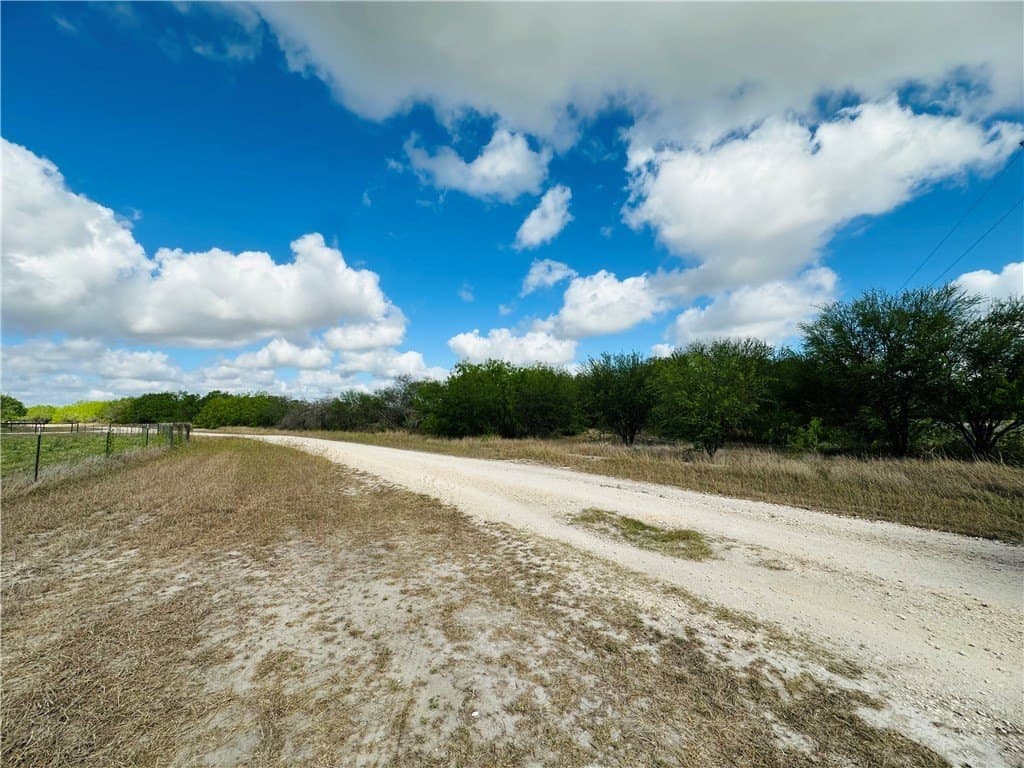 10.08 acres in San Patricio County gallery image 3