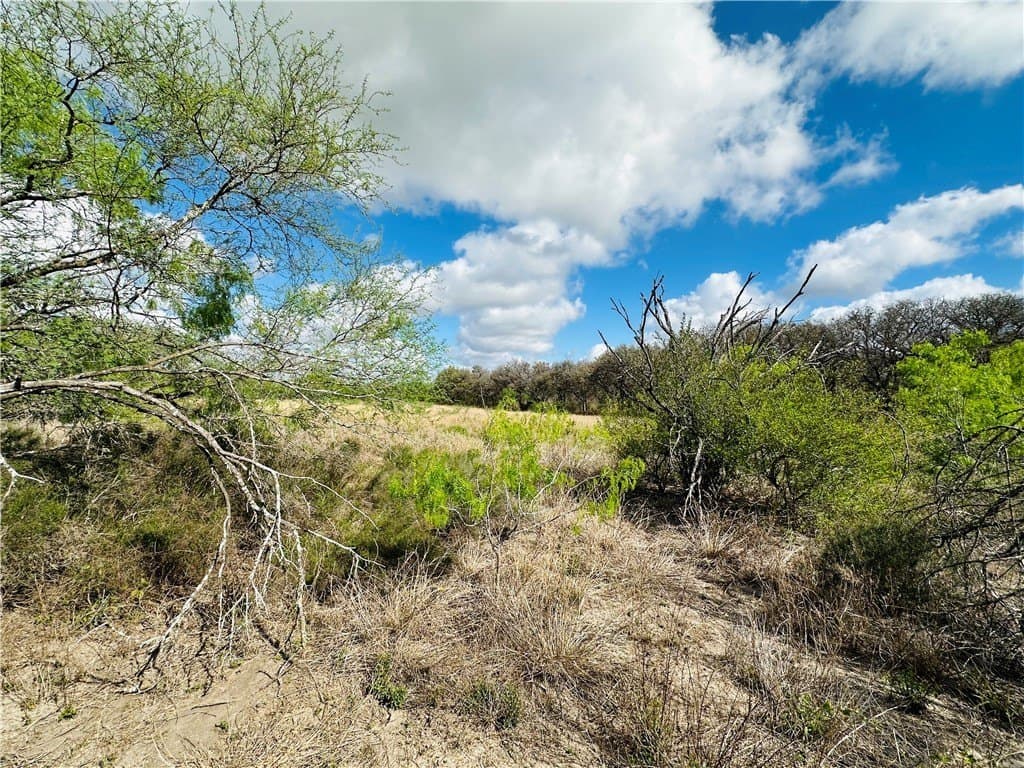 10.08 acres in San Patricio County gallery image 2