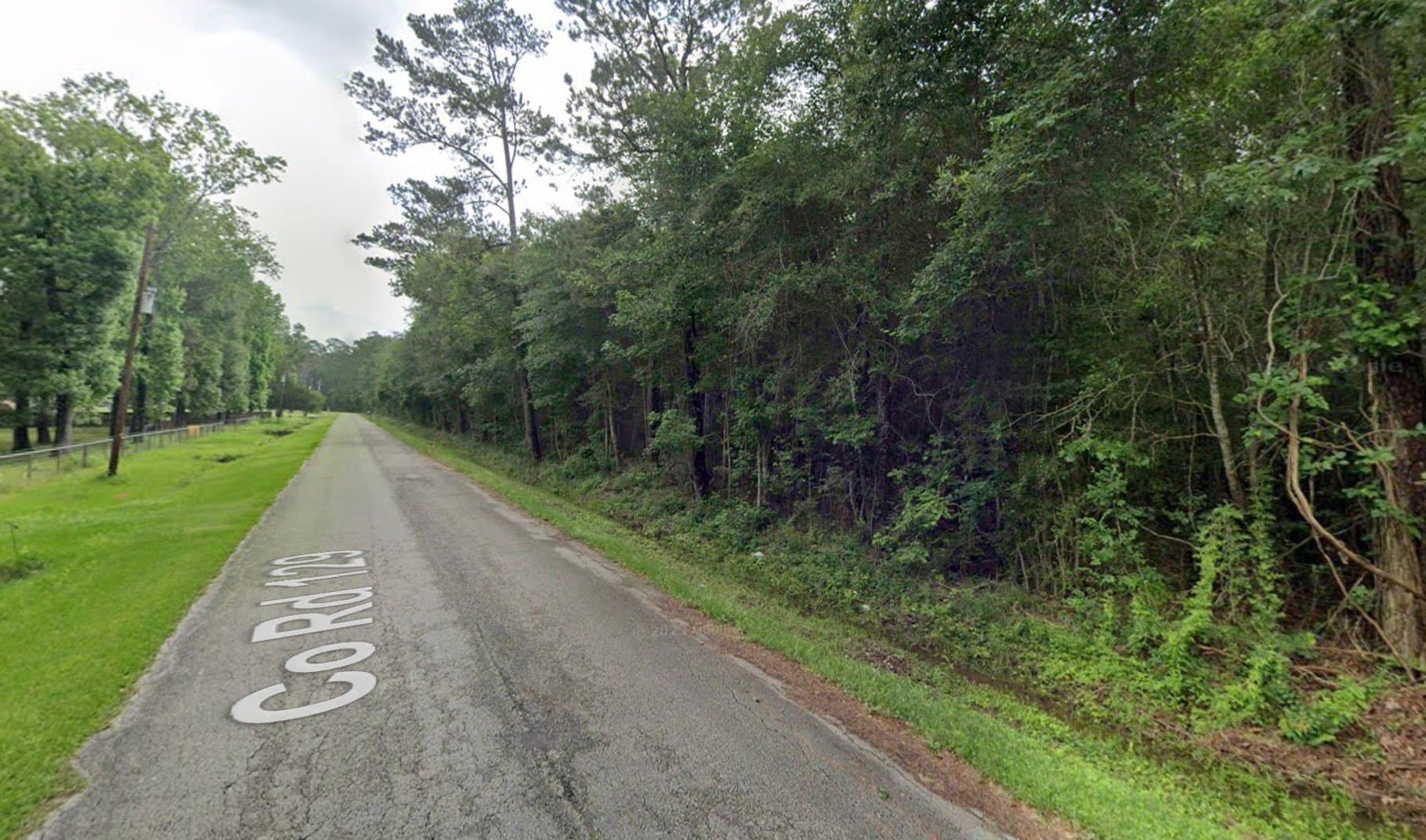 2.5 acres in Liberty County featured view