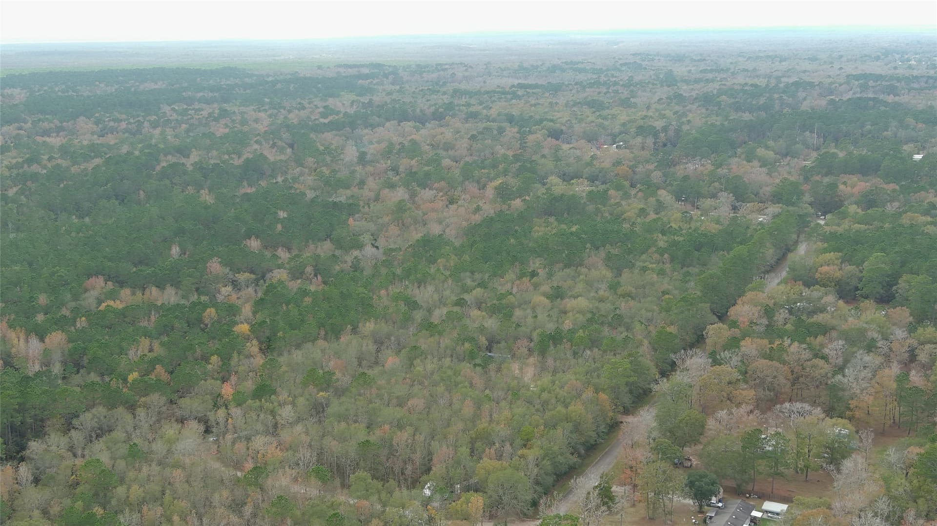 2.5 acres in Liberty County gallery image 2