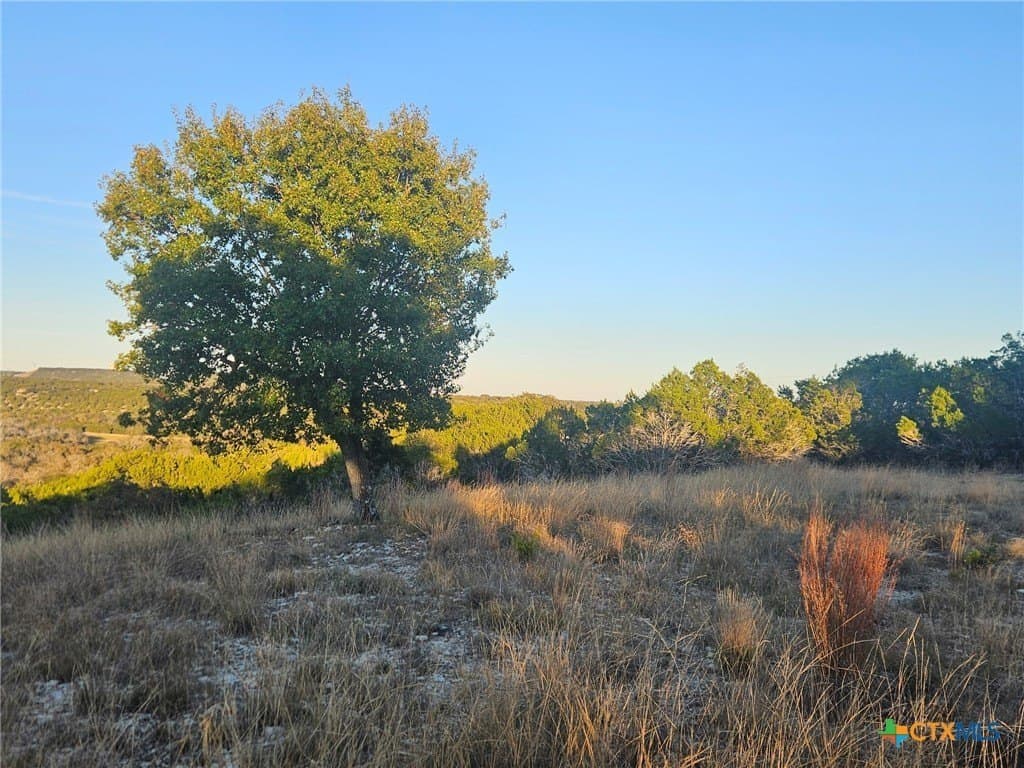 5 acres in Burnet County - photo 2