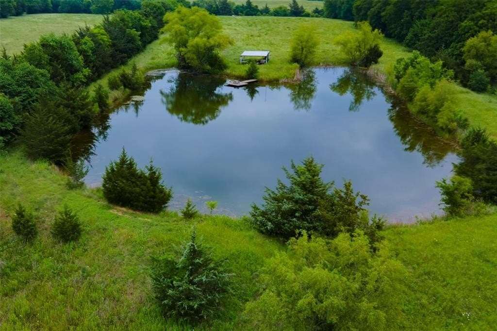 14.86 acres in Lamar County gallery image 3