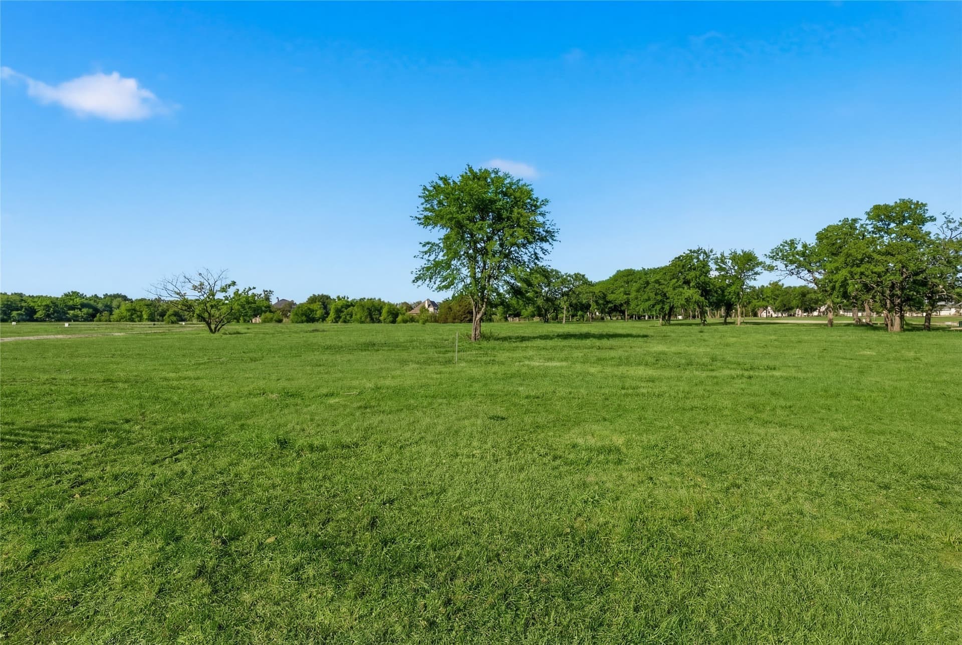 1.07 acres in Denton County gallery image 3