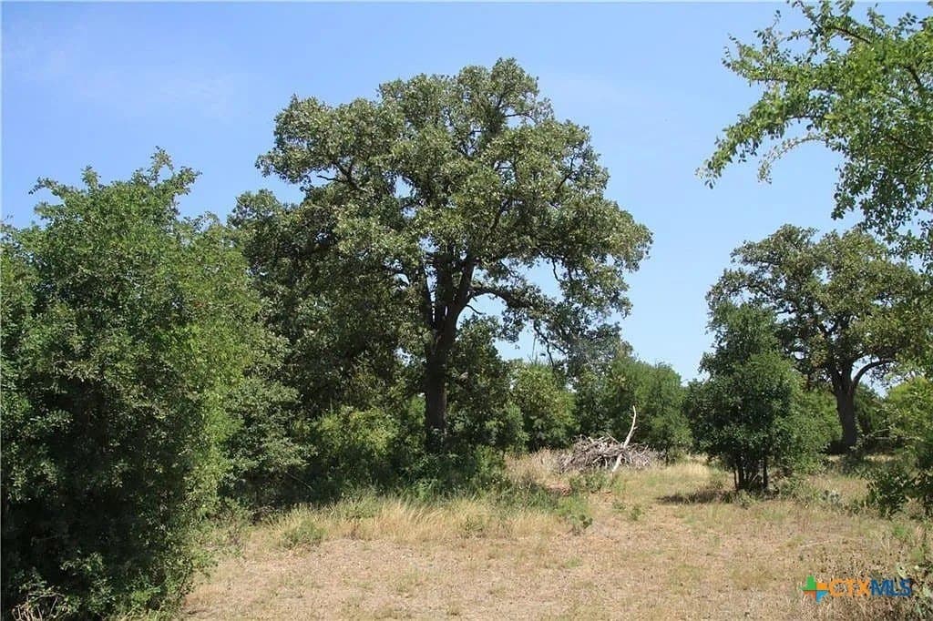 7.31 acres in Williamson County
