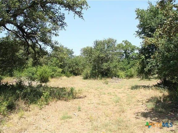 7.31 acres in Williamson County gallery image 4