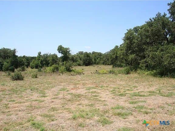 7.31 acres in Williamson County gallery image 2