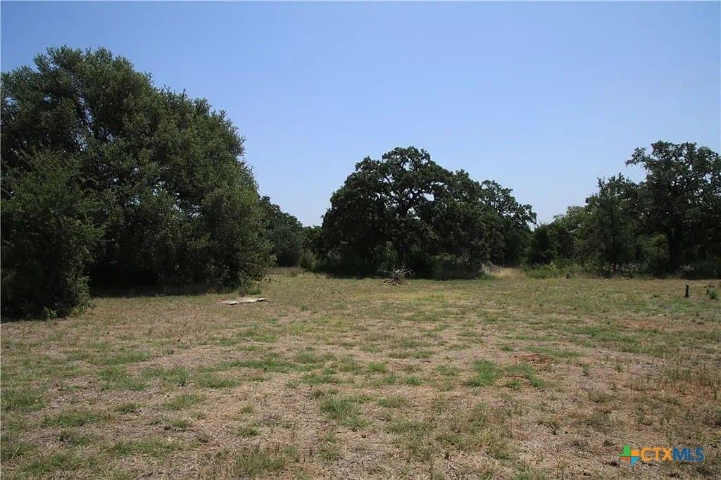 7.31 acres in Williamson County gallery image 3