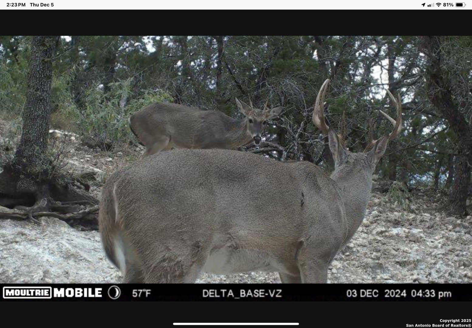 17.19 acres in Bandera County gallery image 4