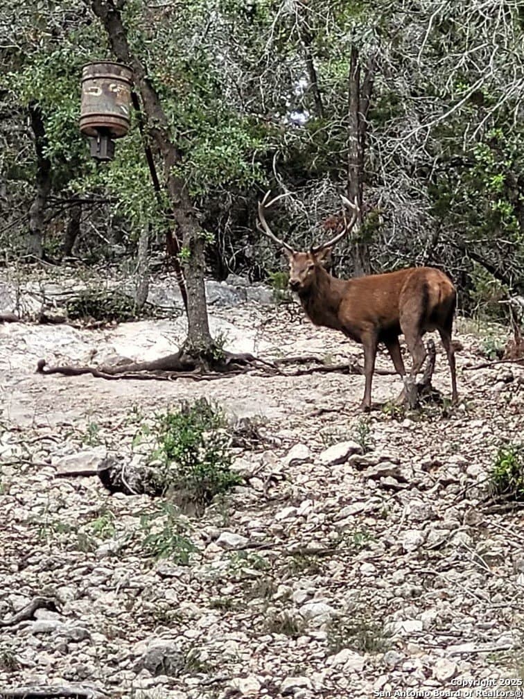 17.19 acres in Bandera County gallery image 3