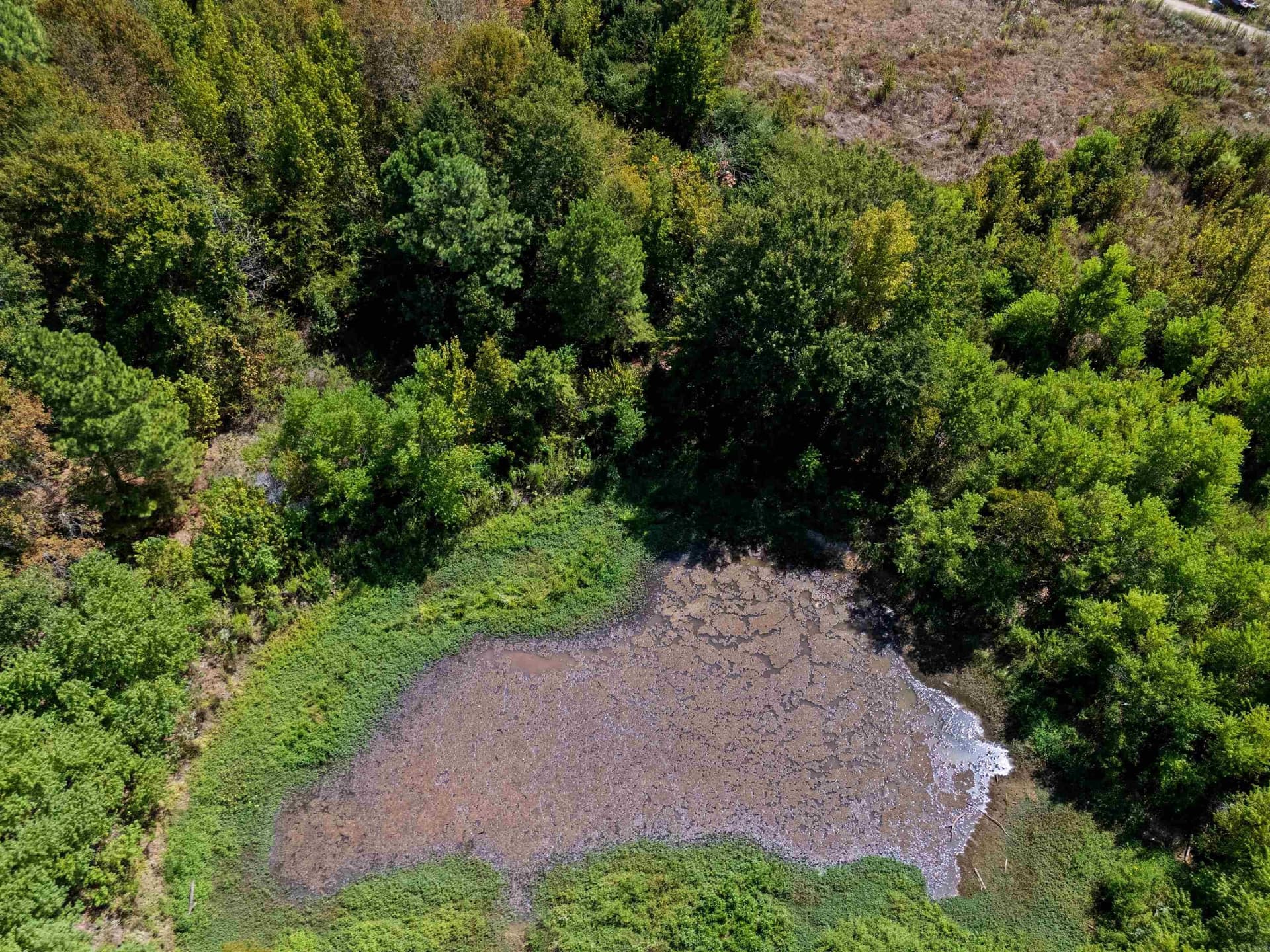 17.37 acres in Gregg County - photo 10