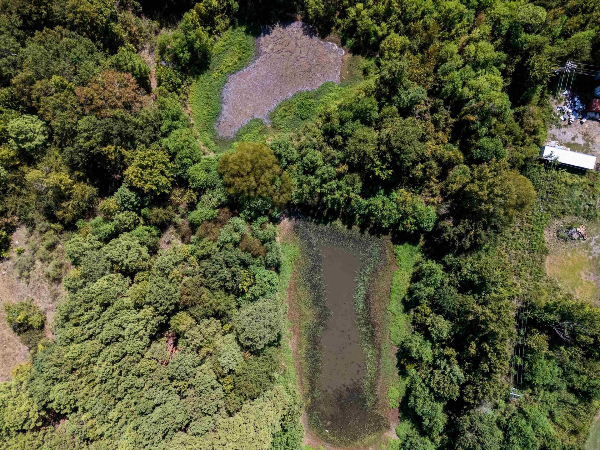 17.37 acres in Gregg County - photo 9
