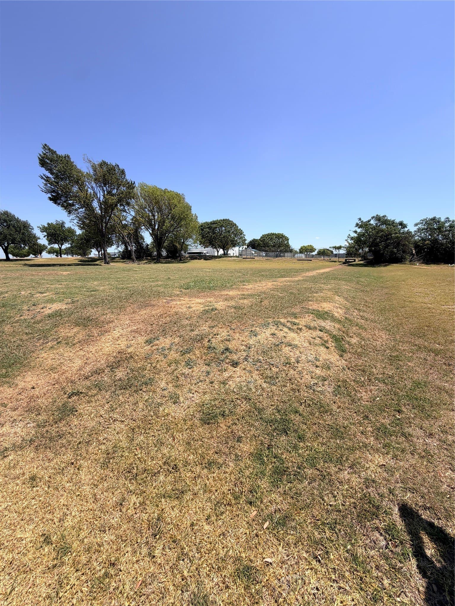 0.5 acres in Dallas County - photo 4