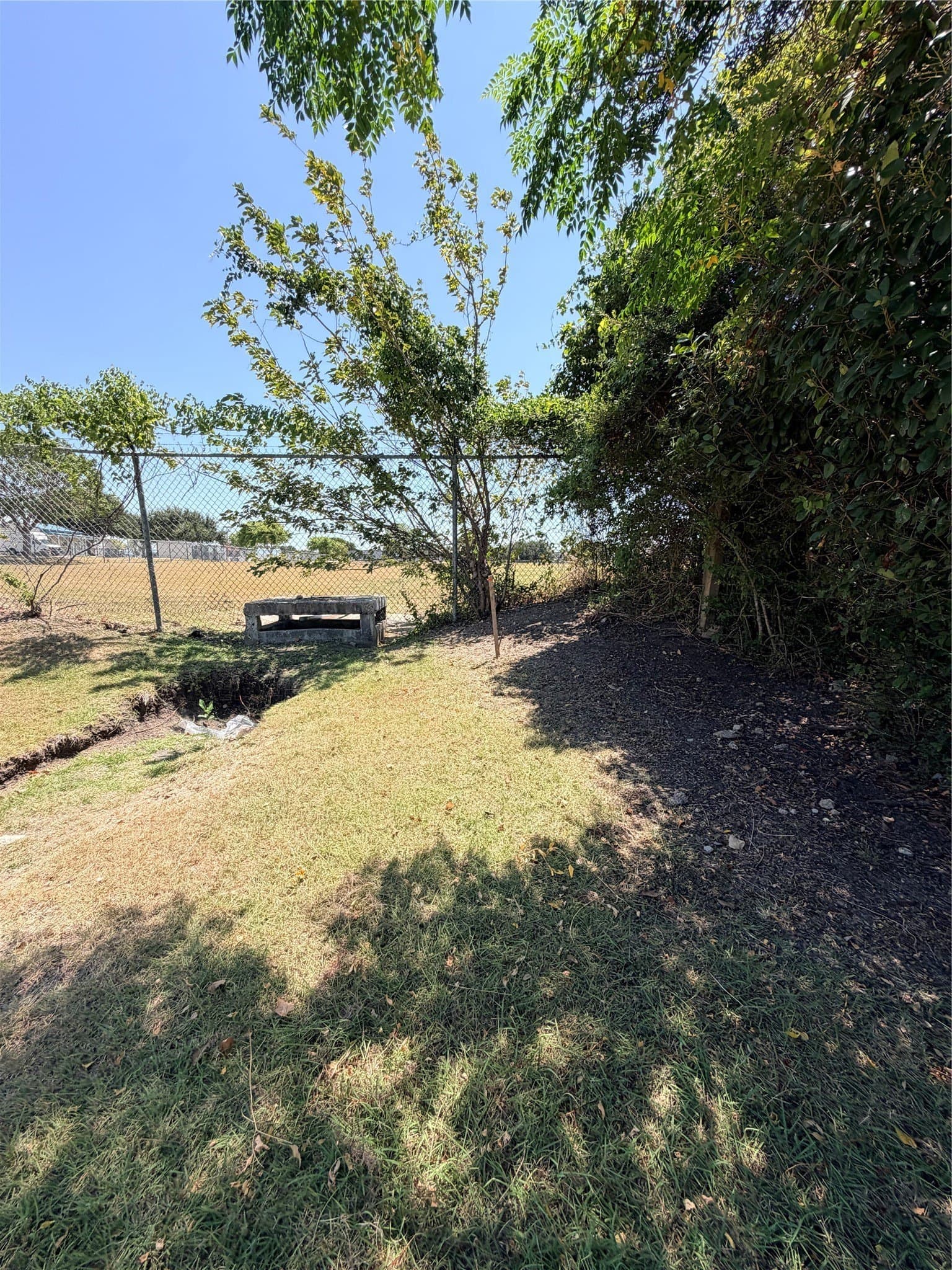 0.5 acres in Dallas County - photo 5
