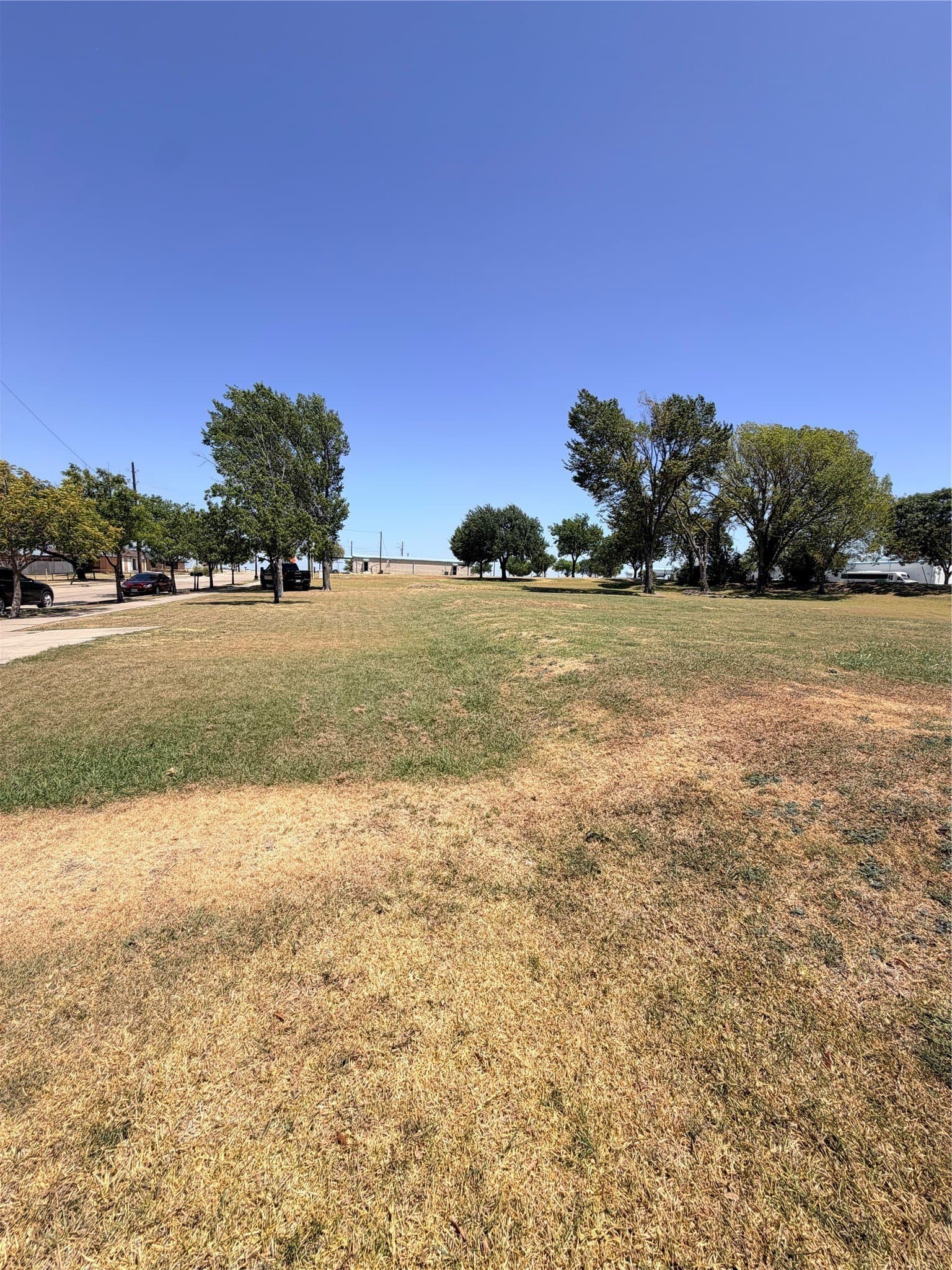 0.5 acres in Dallas County - photo 3
