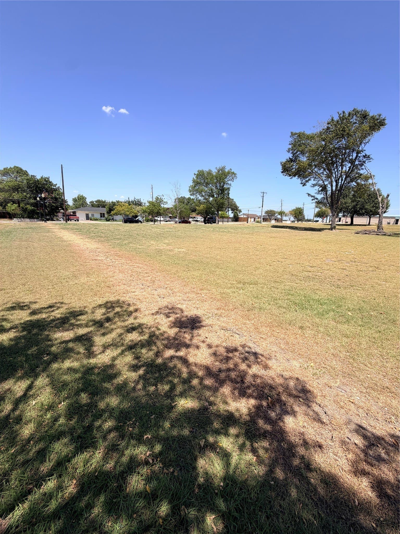 0.5 acres in Dallas County - photo 2